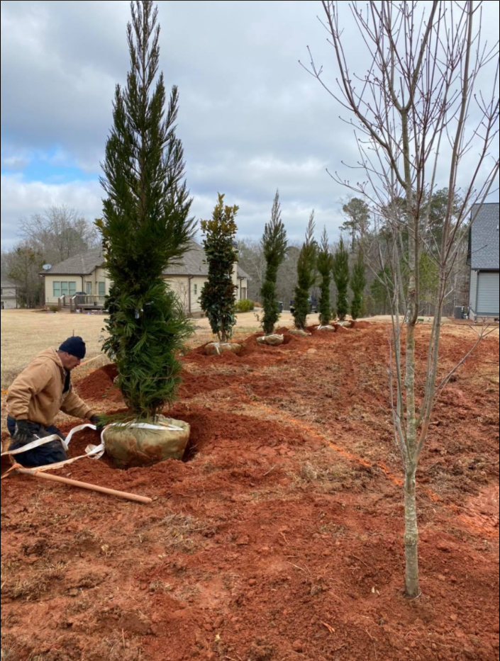 Lawn Cleaning — Watkinsville, GA — Four Seasons Lawn Maintenance