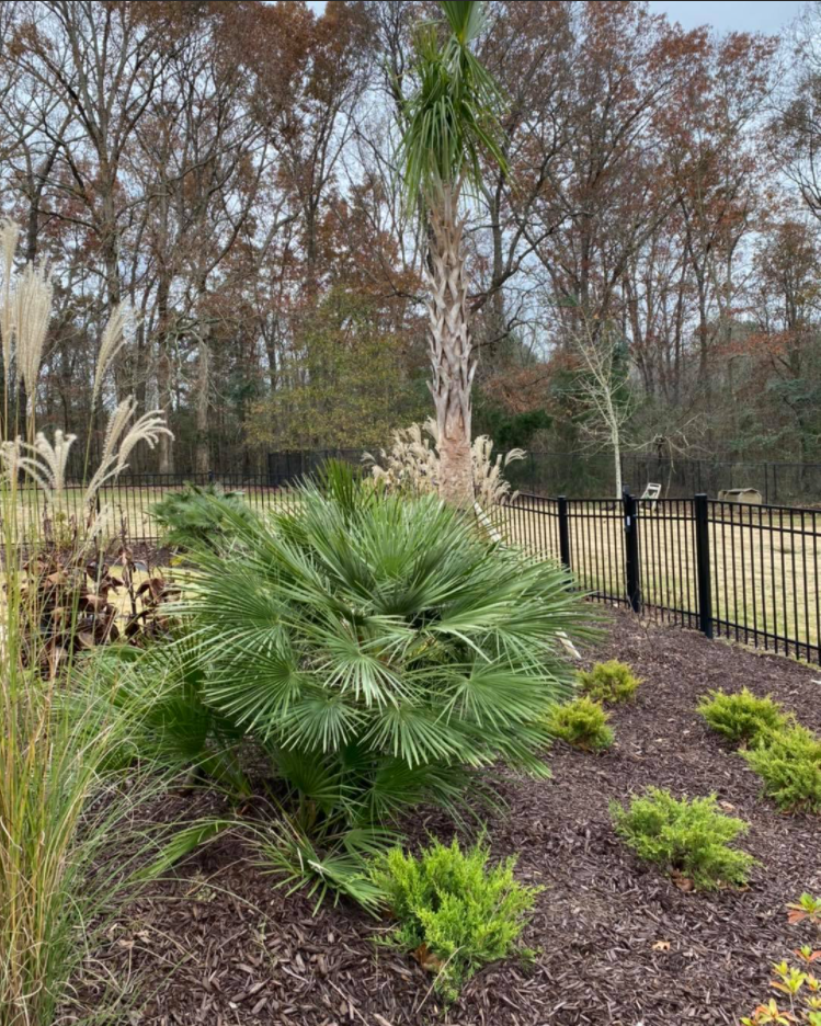 House Front Garden — Watkinsville, GA — Four Seasons Lawn Maintenance