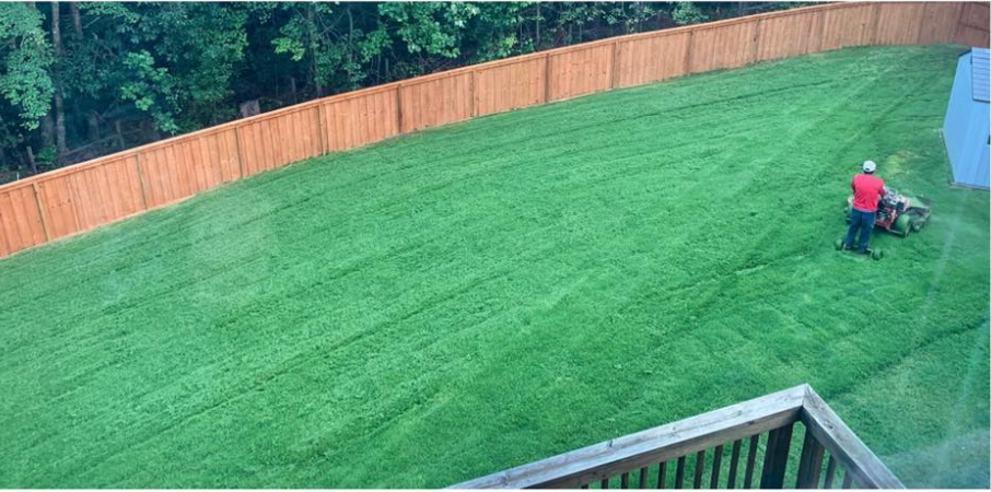 Clean Lawn — Watkinsville, GA — Four Seasons Lawn Maintenance