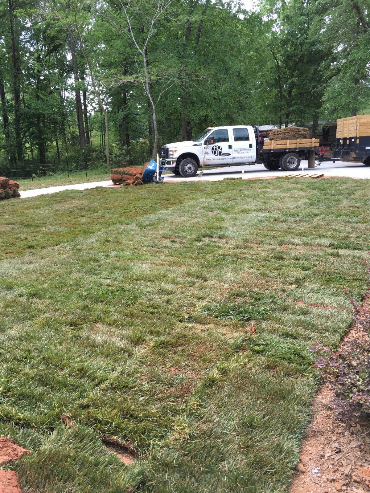 Installed Turfs By Four Seasons — Watkinsville, GA — Four Seasons Lawn Maintenance