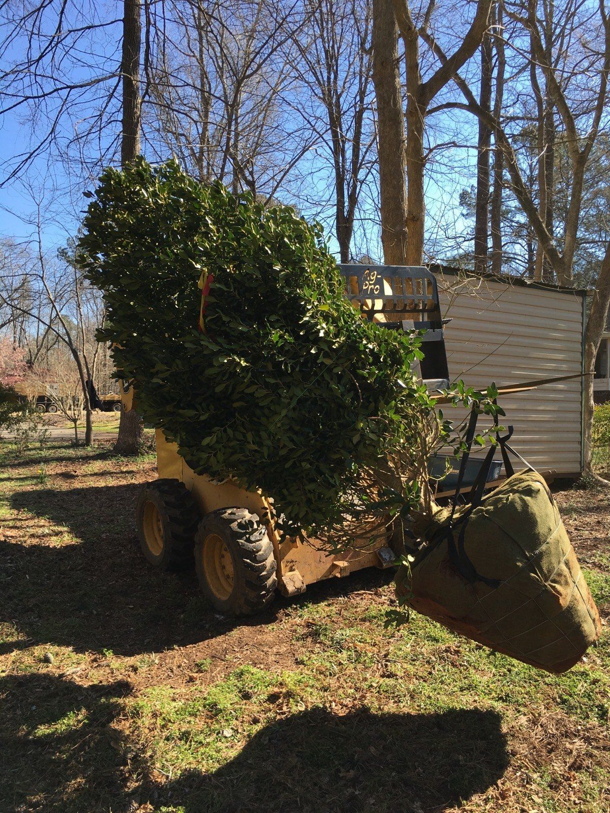 Carrying Plant With Truck — Watkinsville, GA — Four Seasons Lawn Maintenance
