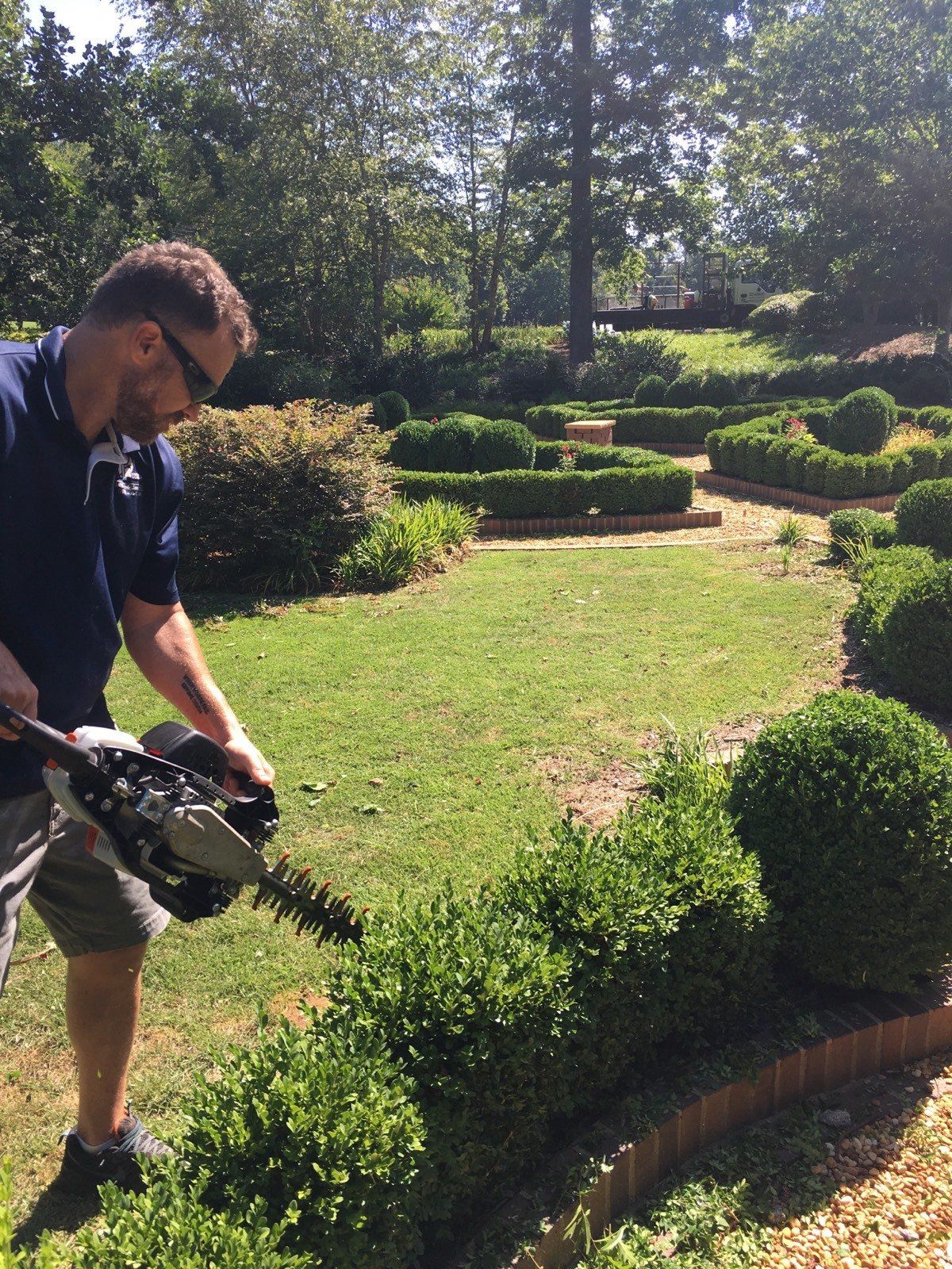Trimming Shrubs — Watkinsville, GA — Four Seasons Lawn Maintenance