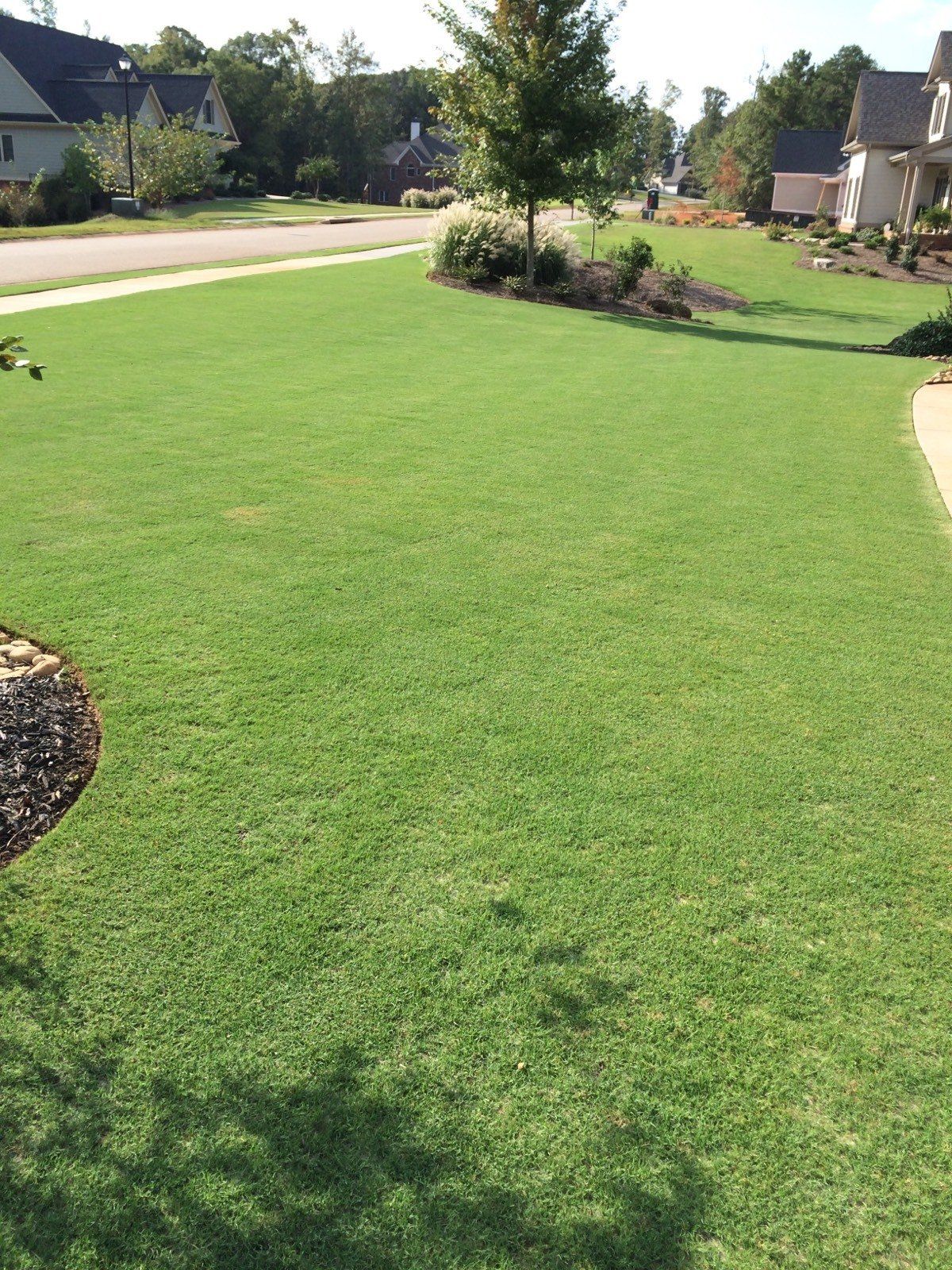 Wide Lawn — Watkinsville, GA — Four Seasons Lawn Maintenance