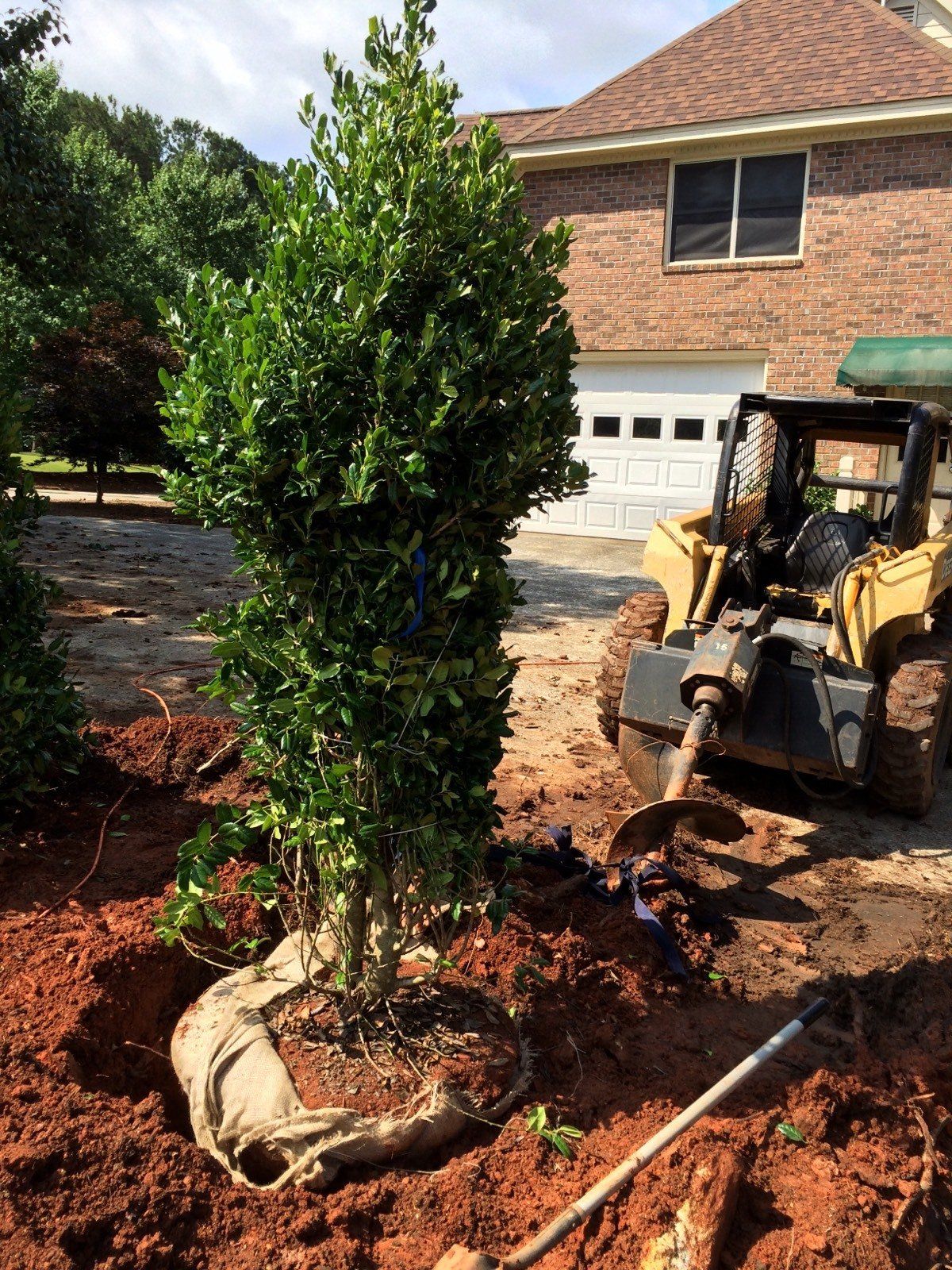 Huge Plant In Front Of House — Watkinsville, GA — Four Seasons Lawn Maintenance