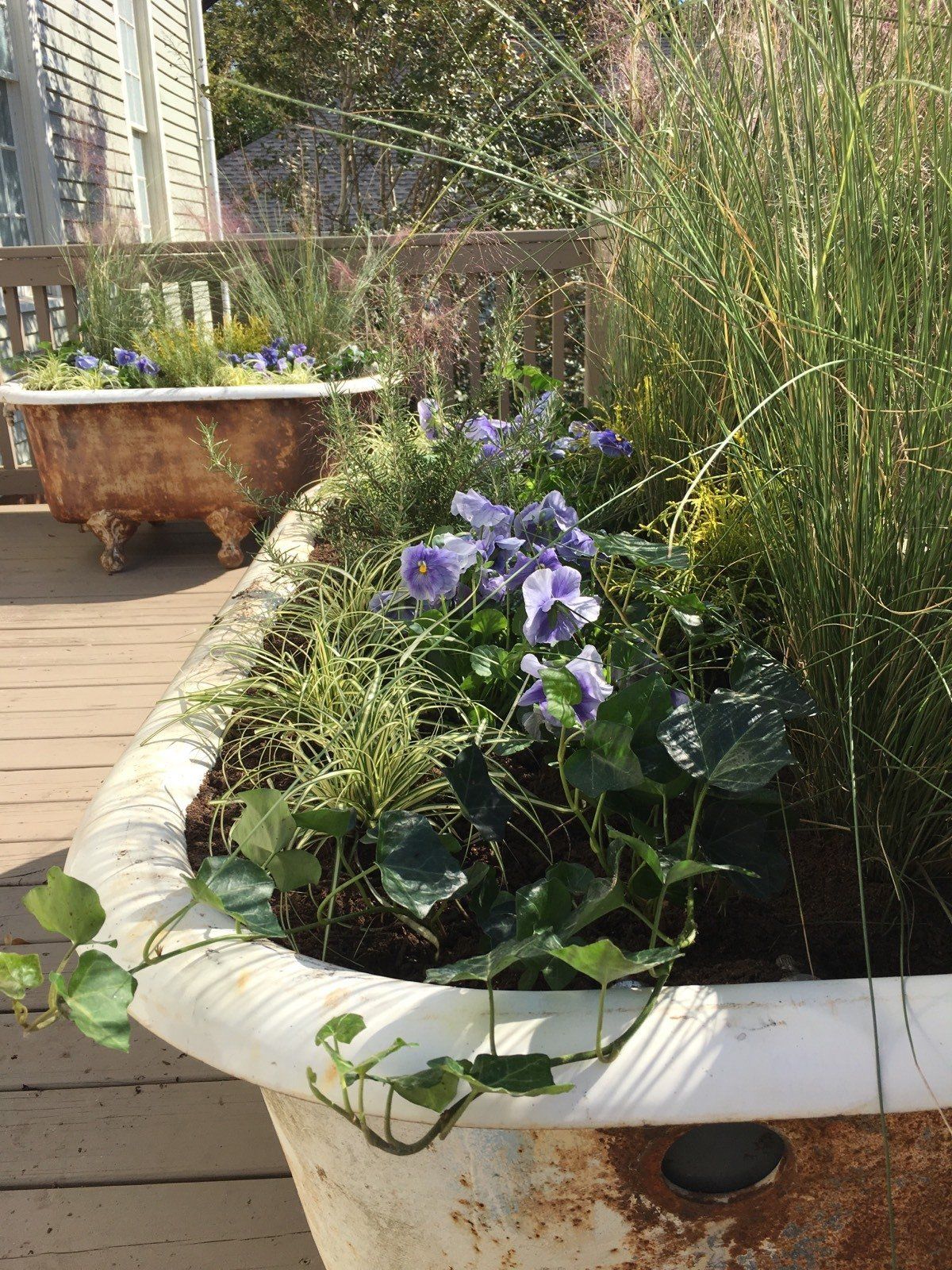 Plants In Container — Watkinsville, GA — Four Seasons Lawn Maintenance