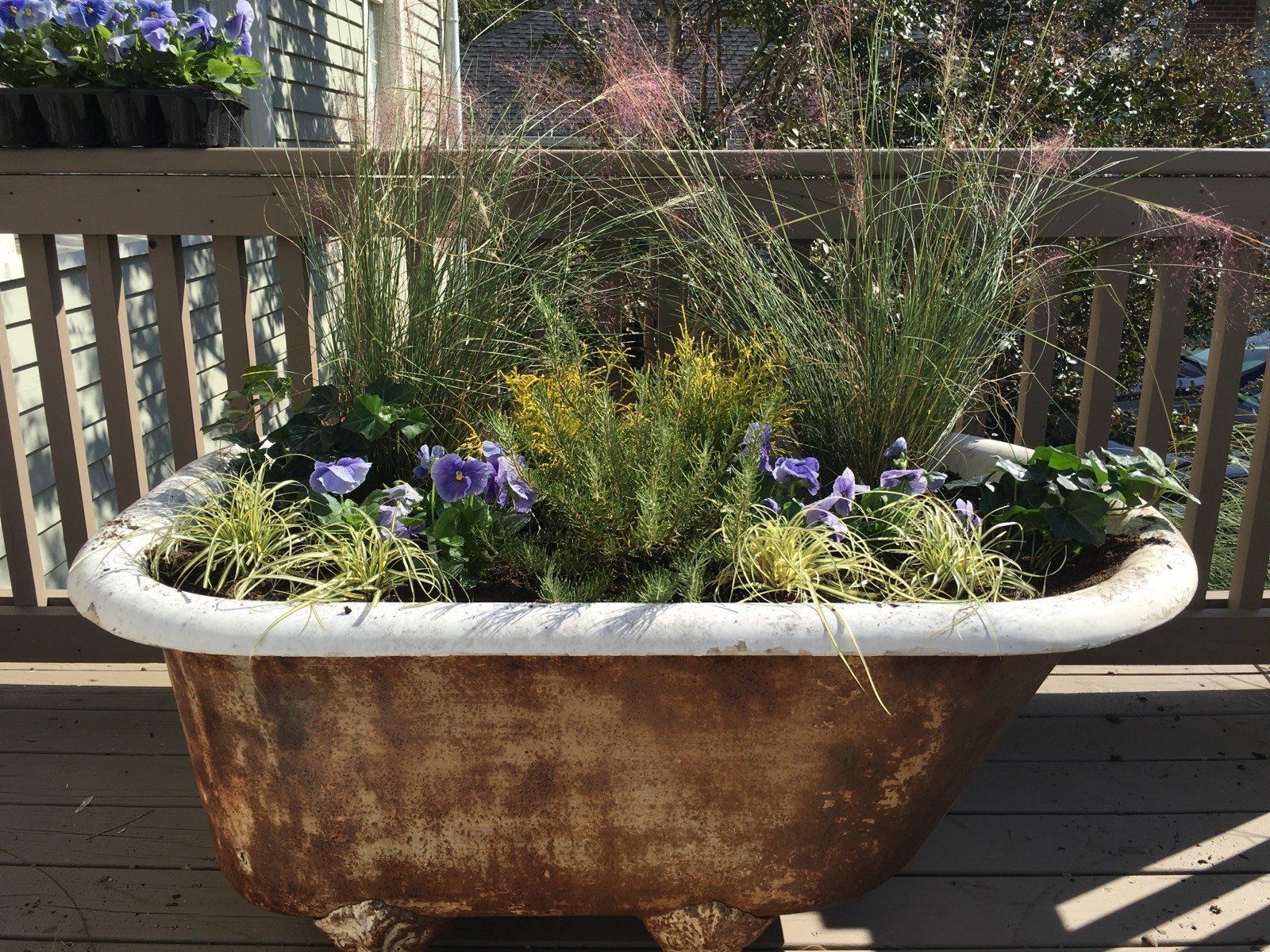 Plant In Container — Watkinsville, GA — Four Seasons Lawn Maintenance