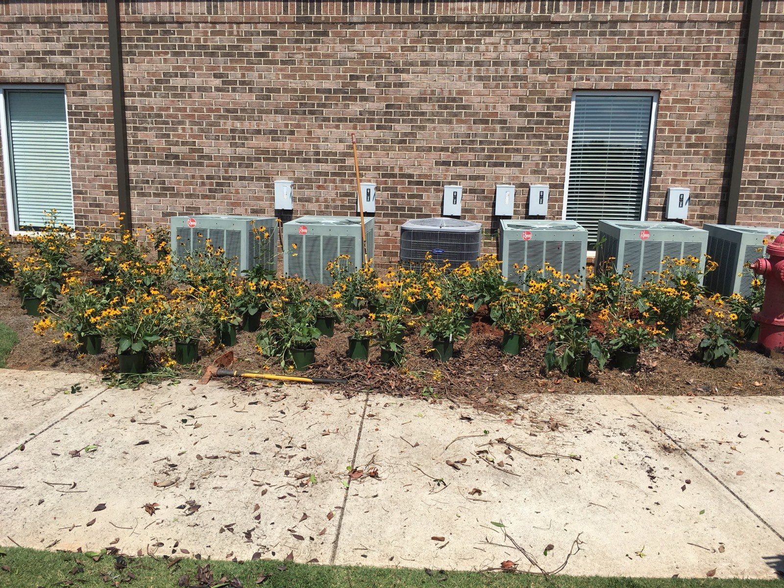 Small Plants — Watkinsville, GA — Four Seasons Lawn Maintenance