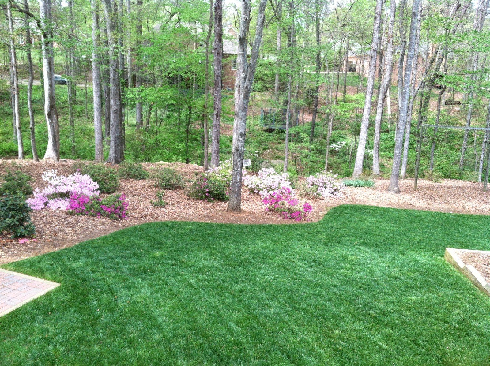 Grass Field Backyard — Watkinsville, GA — Four Seasons Lawn Maintenance