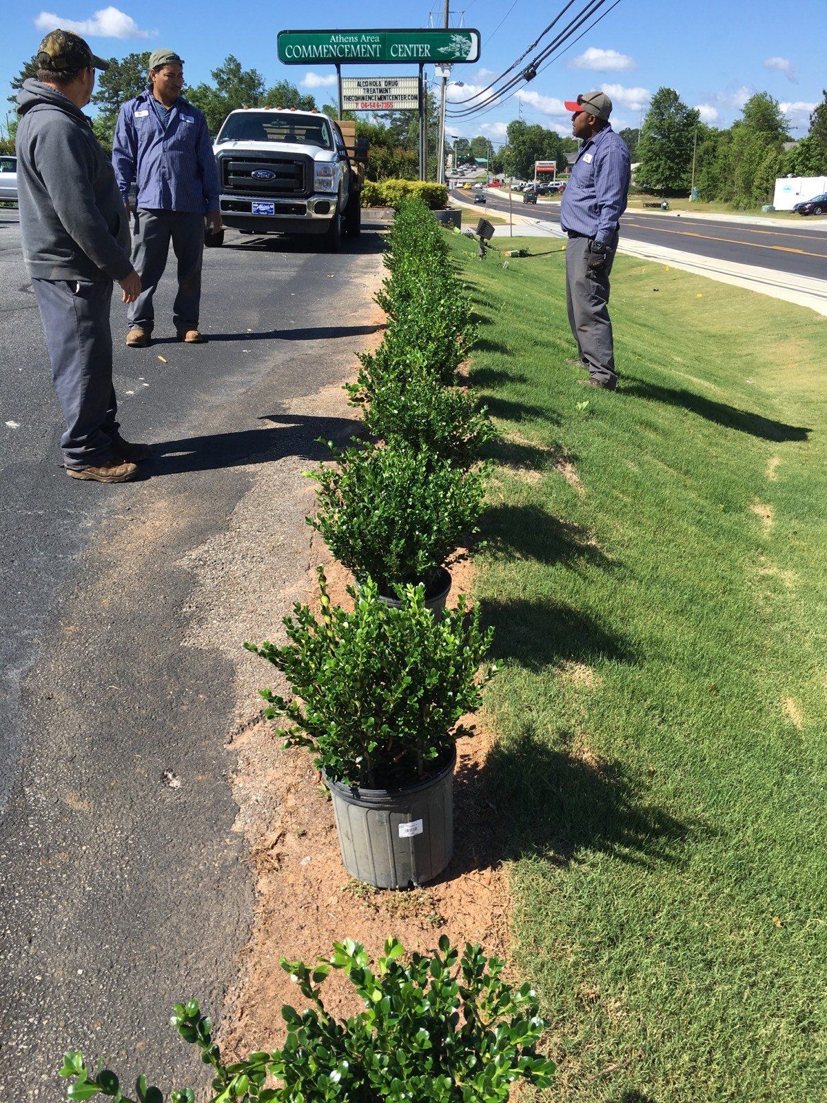 Plants Forming A Line — Watkinsville, GA — Four Seasons Lawn Maintenance