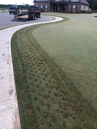 Adding Fake Grass — Watkinsville, GA — Four Seasons Lawn Maintenance