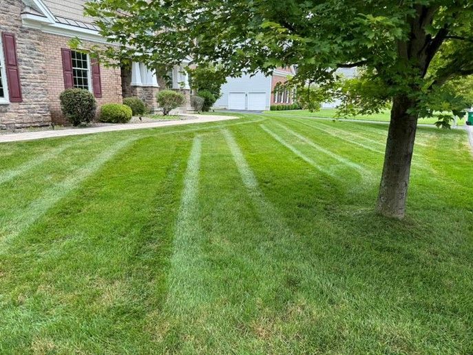 A lush green lawn with a tree in front of a house.