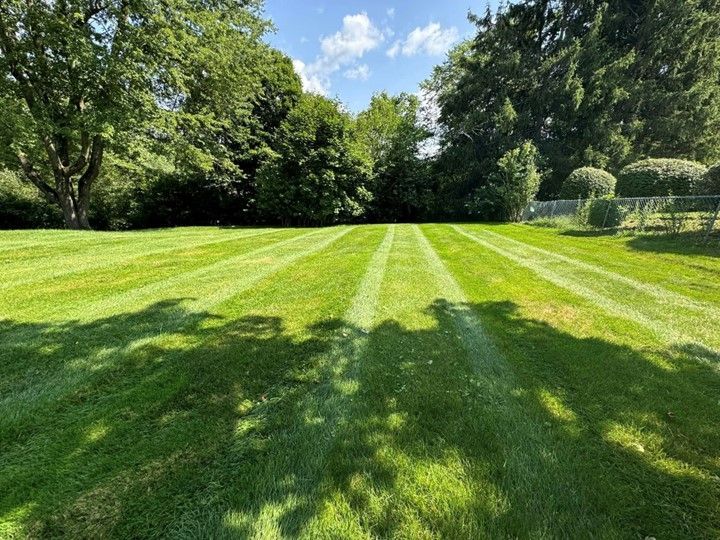 A lush green lawn with trees in the background on a sunny day.