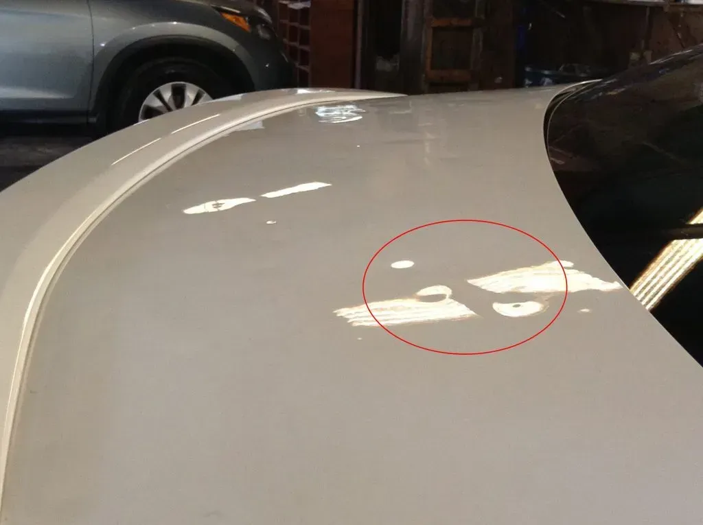 White car roof with circled paint damage.