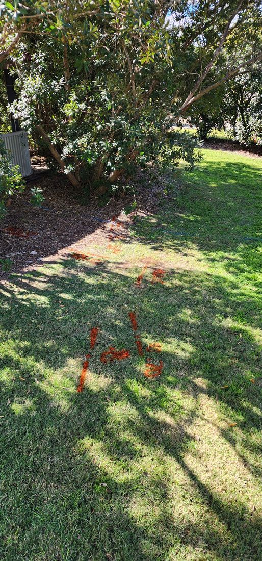 Orange Markings on a Grassy Lawn in a Park, With Trees in the Background — Found It Down Under in Gympie, QLD