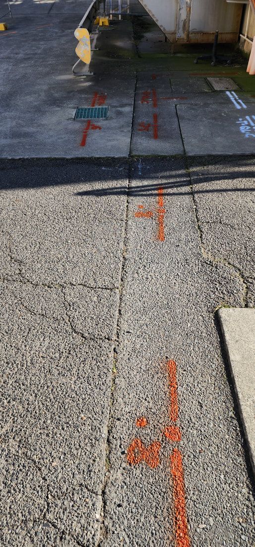 Overhead Shot of a Concrete Surface With Orange Markings — Found It Down Under in Maryborough, QLD