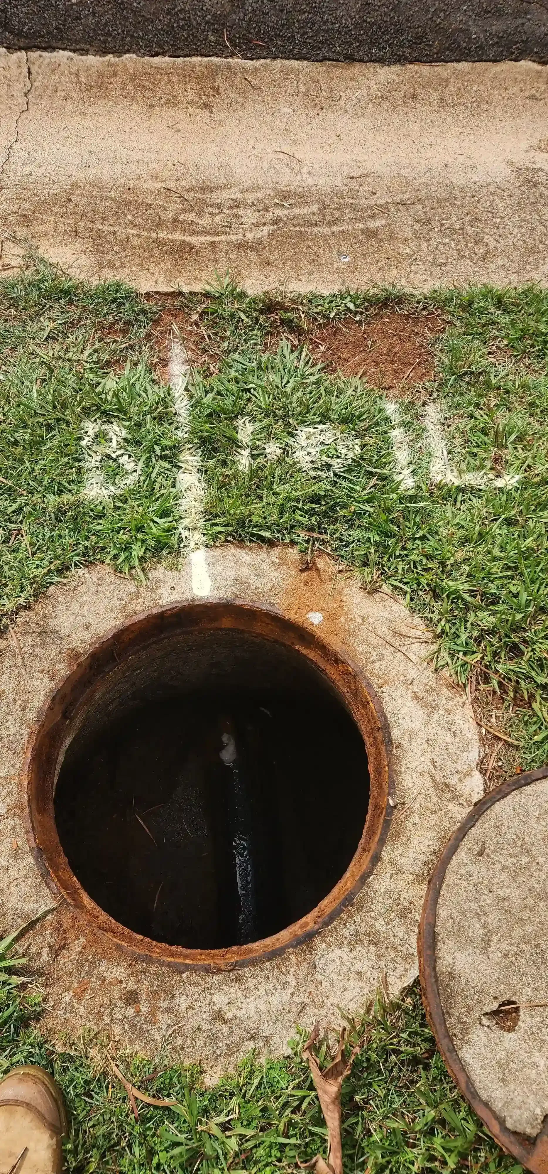 Open manhole with grass, dirt, and lid. White markings near the manhole. — Found It Down Under in Gympie, QLD