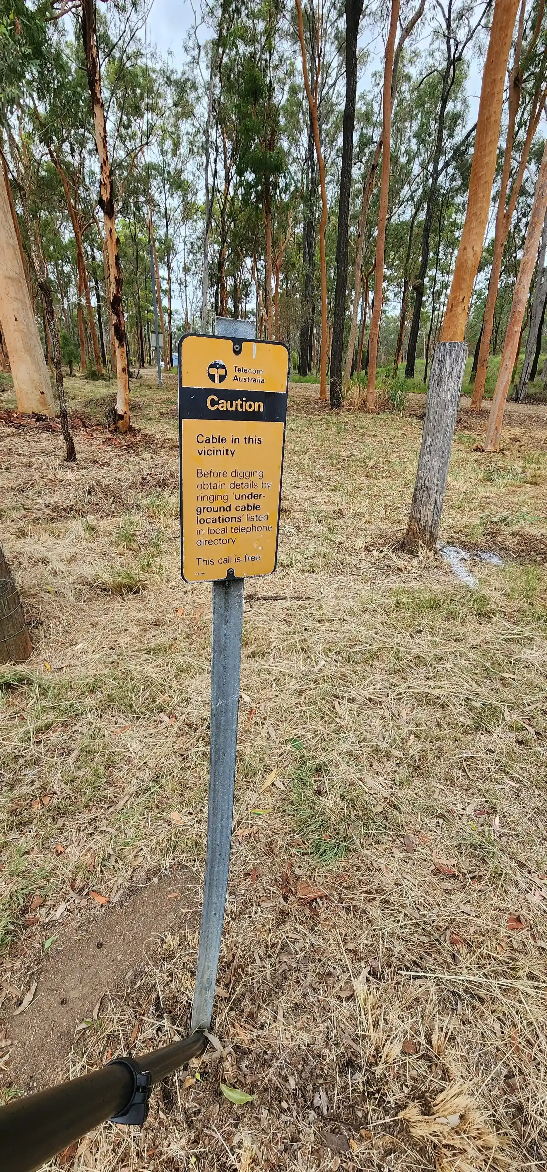 Yellow signpost with Braille in a forest. — Found It Down Under in Gympie, QLD