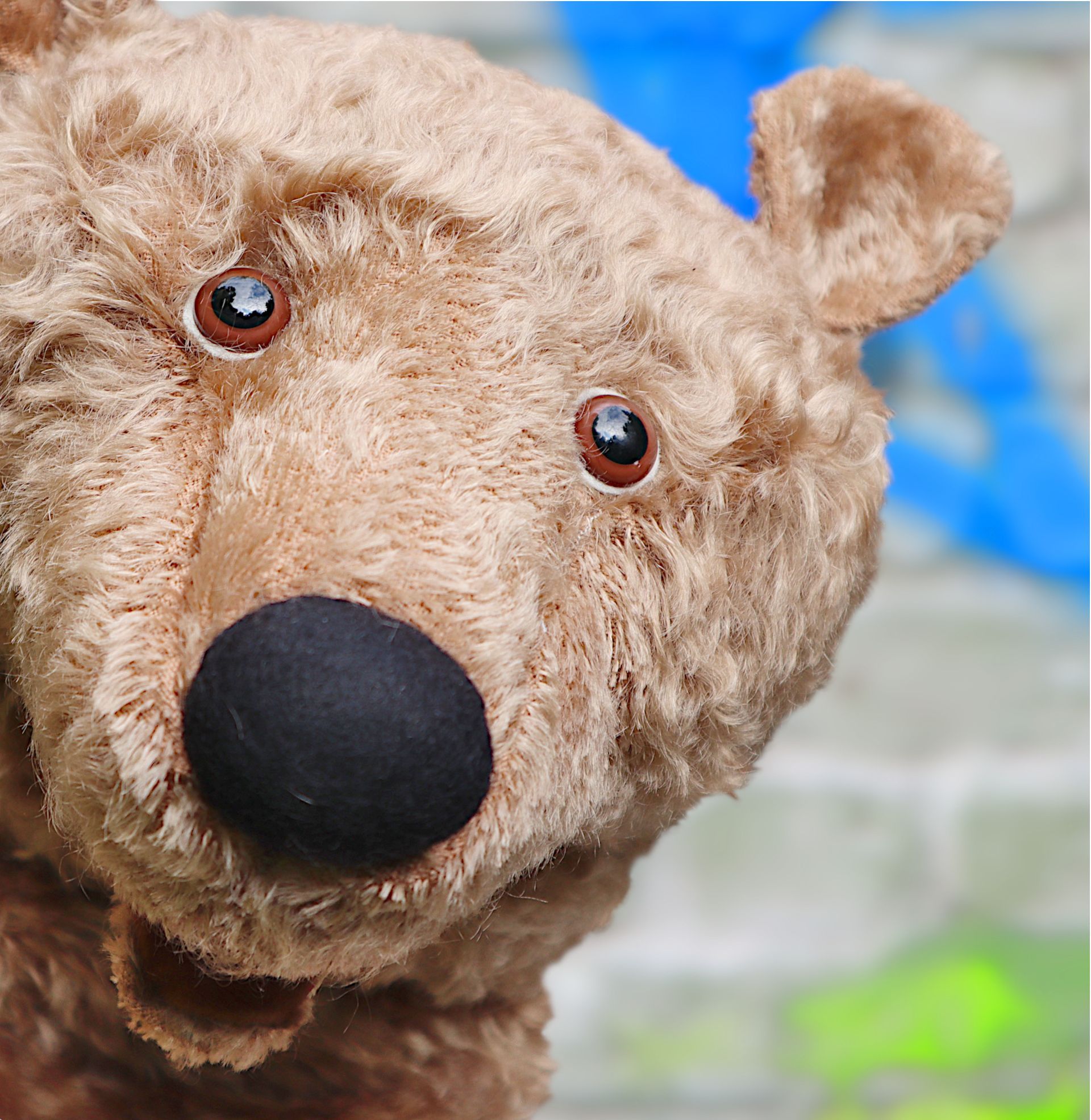 Eine Nahaufnahme des Gesichts eines Teddybären mit einer schwarzen Nase