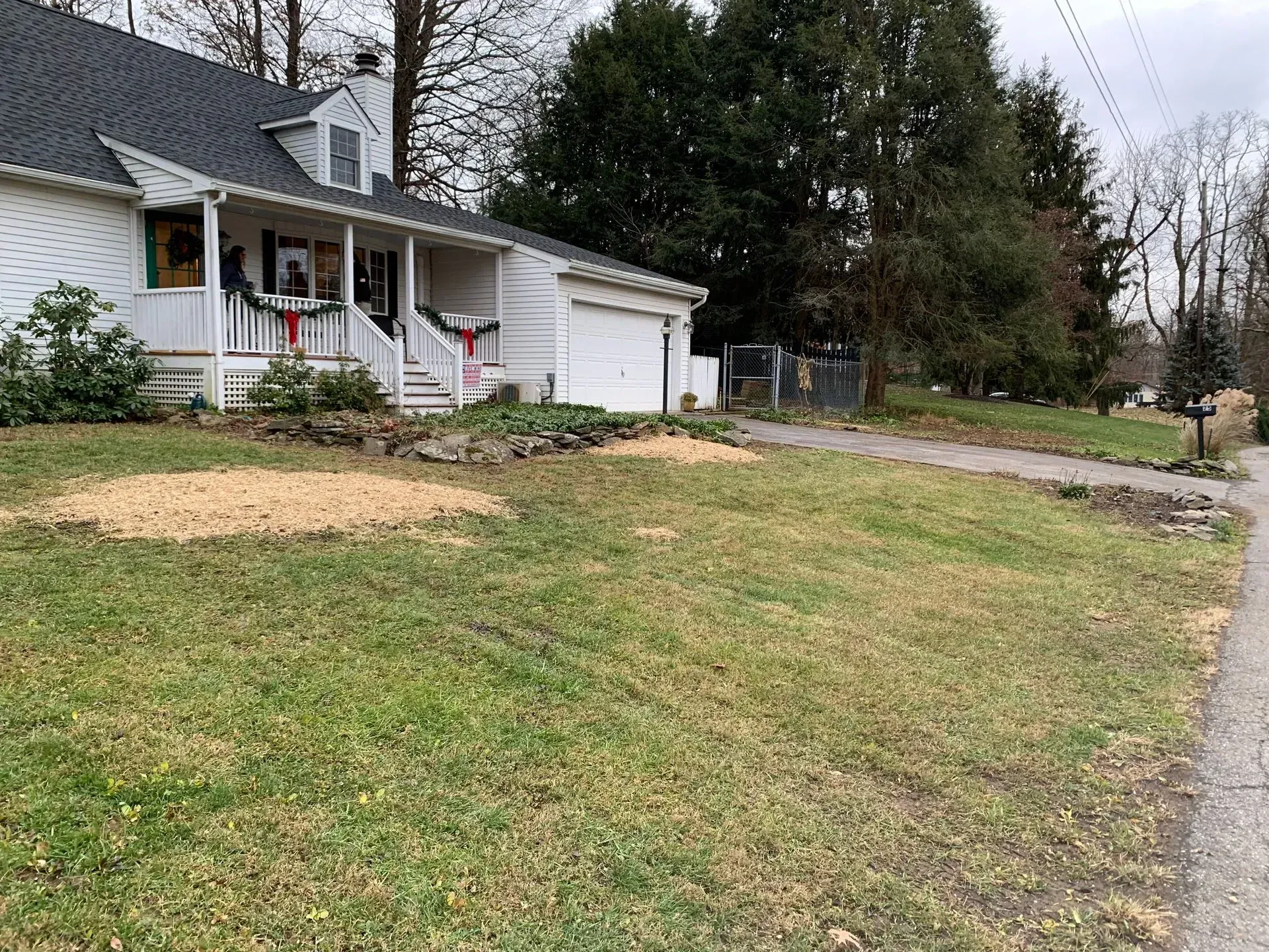 tree pruning staatsburg ny