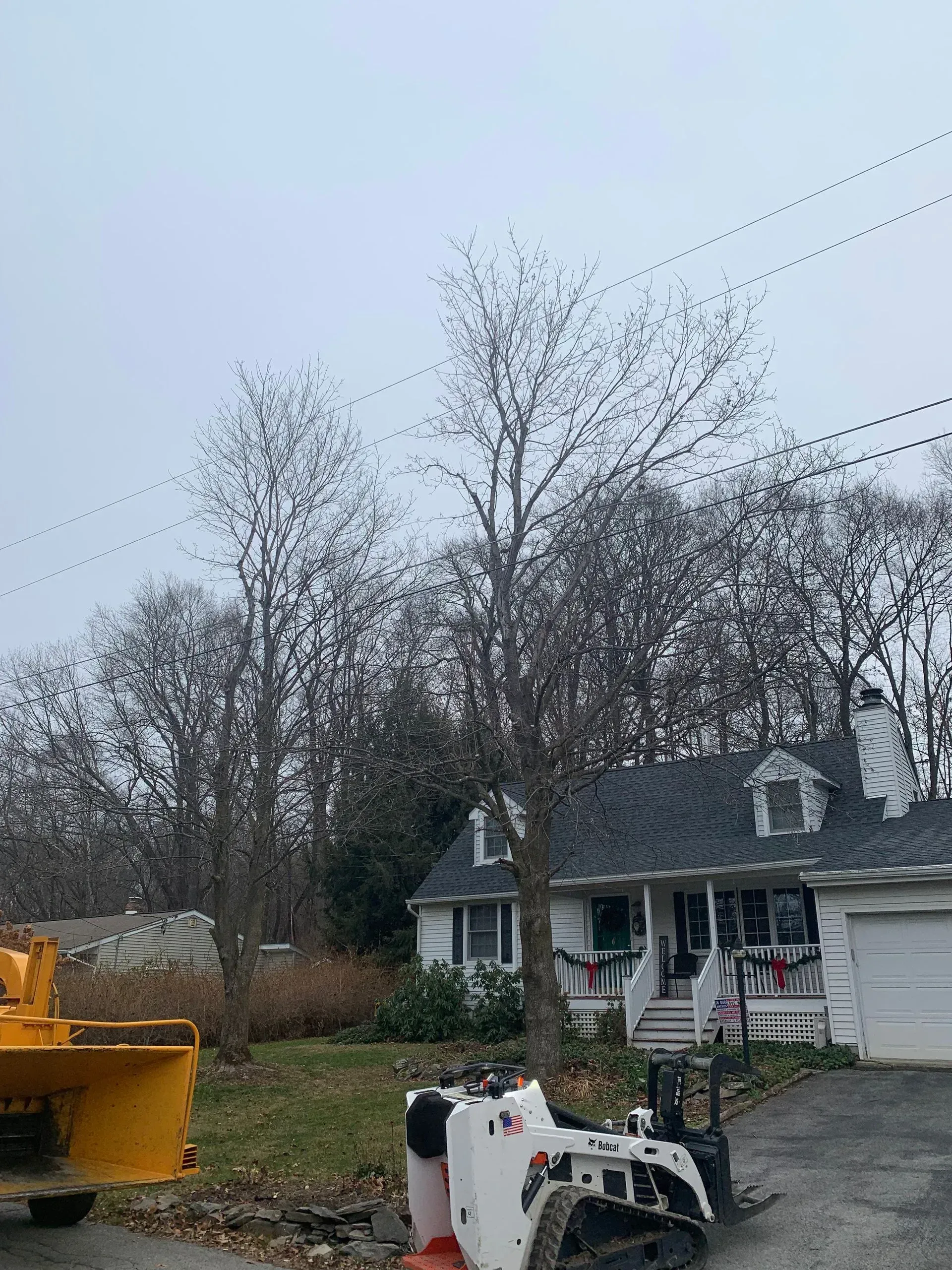 tree pruning staatsburg ny
