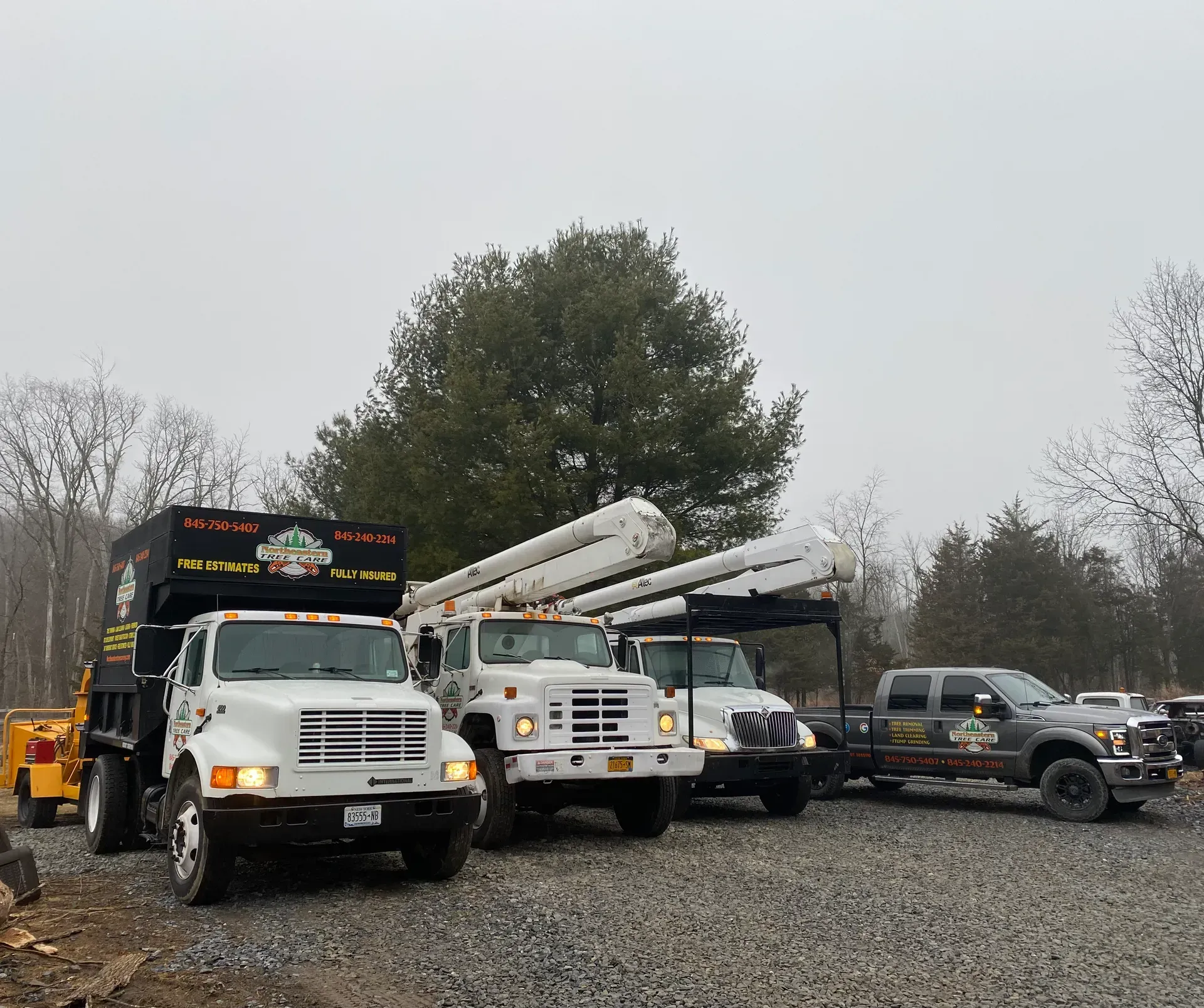 tree pruning staatsburg ny