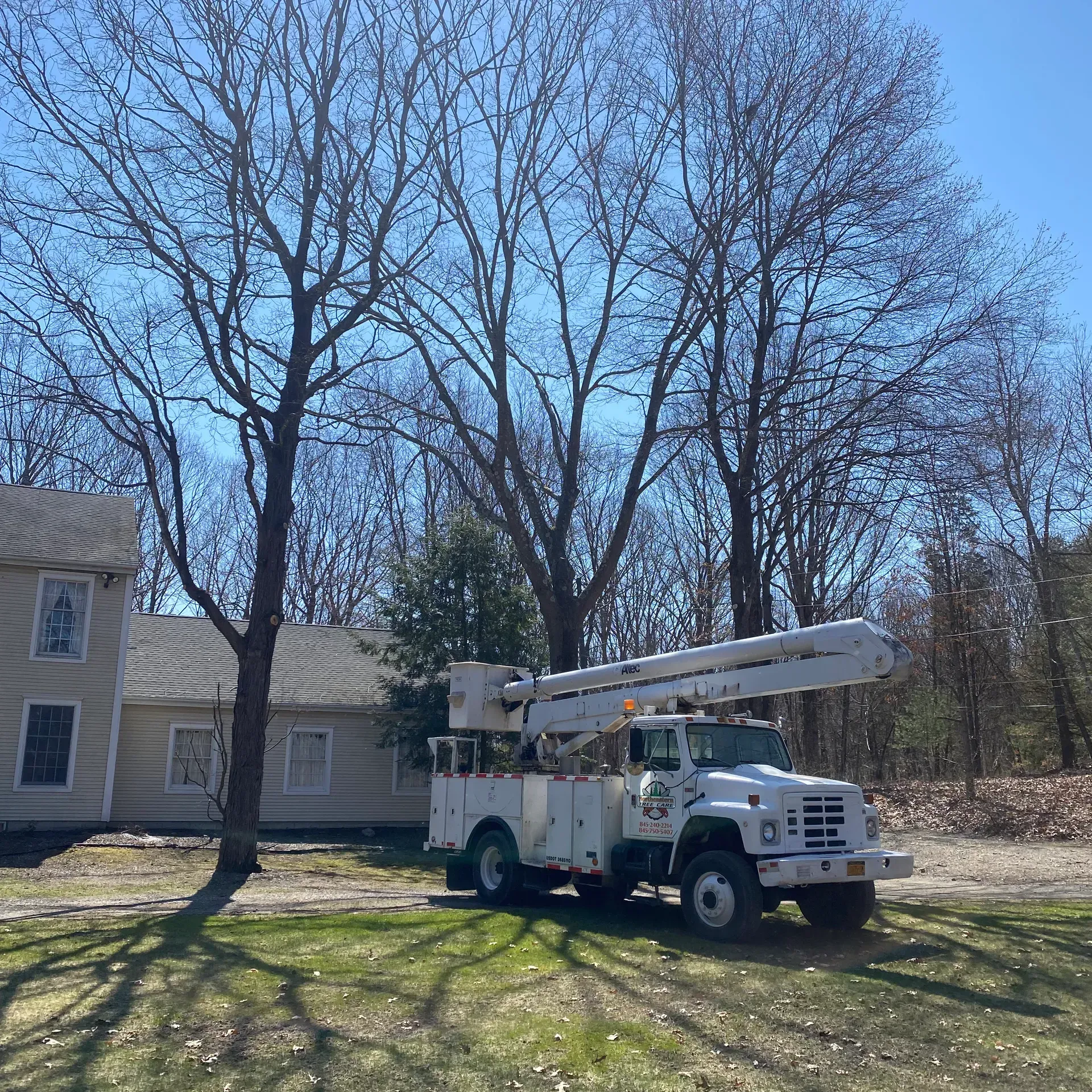 emergency tree removal staatsburg