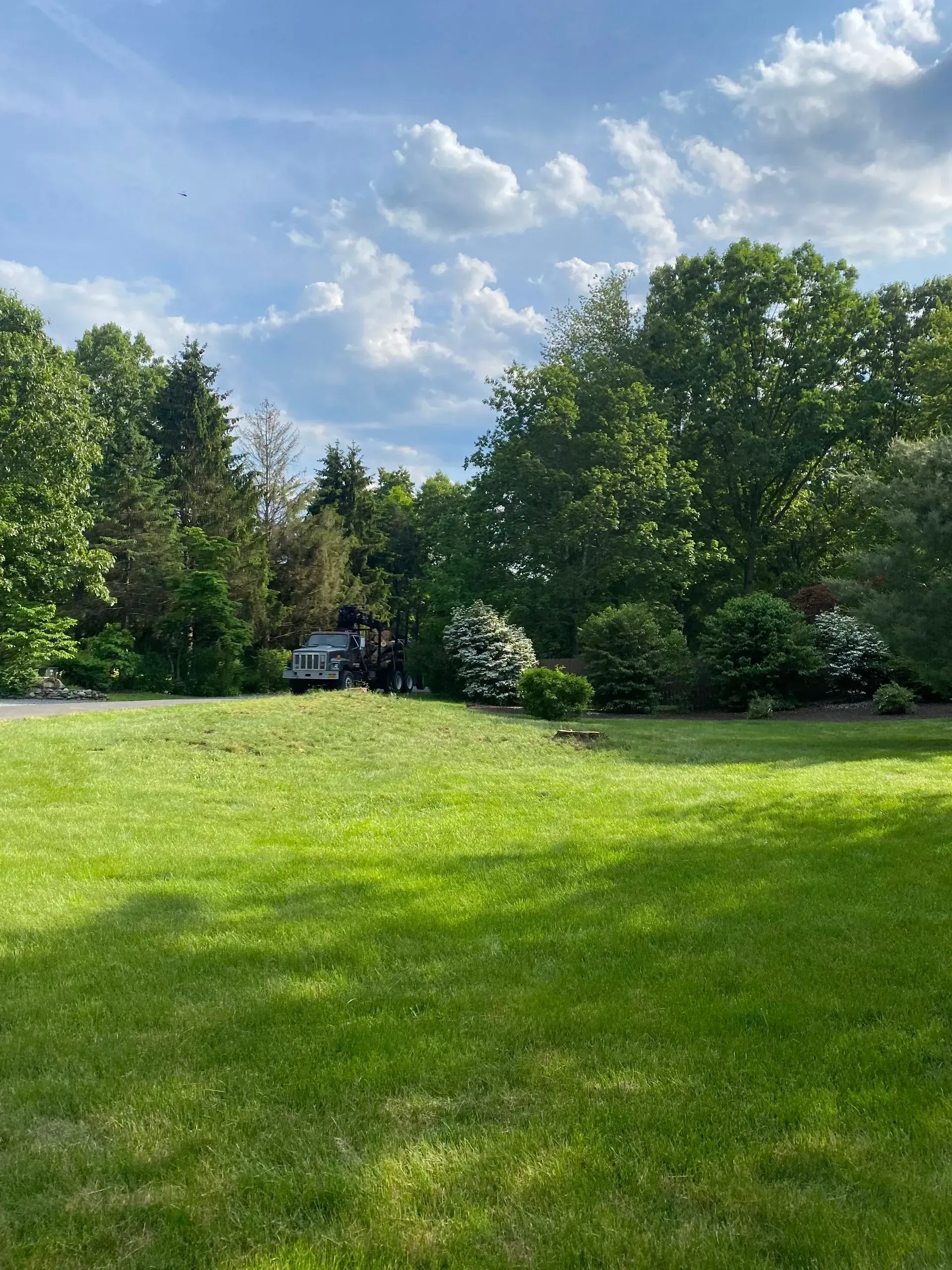 tree pruning staatsburg ny