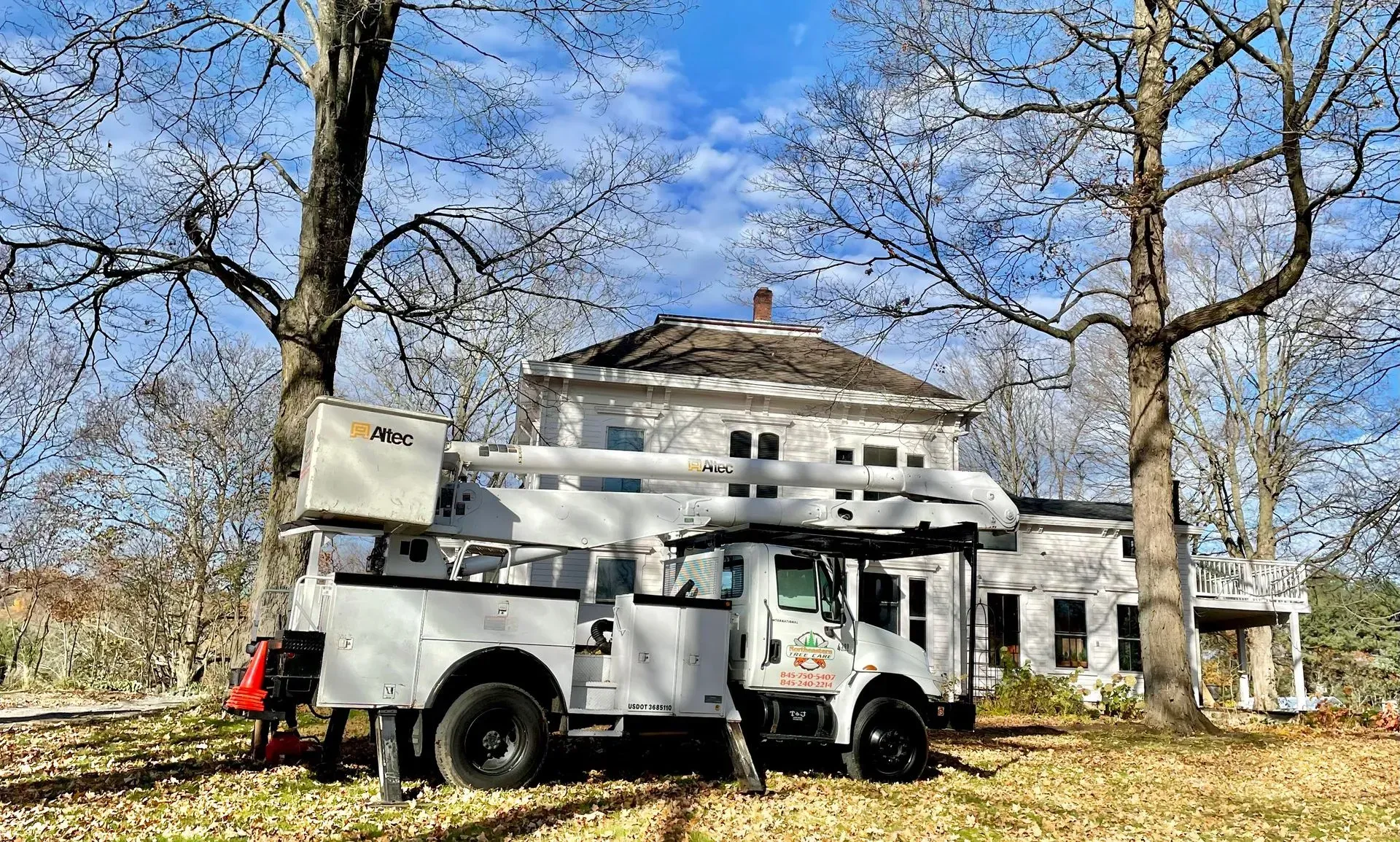 emergency tree removal staatsburg