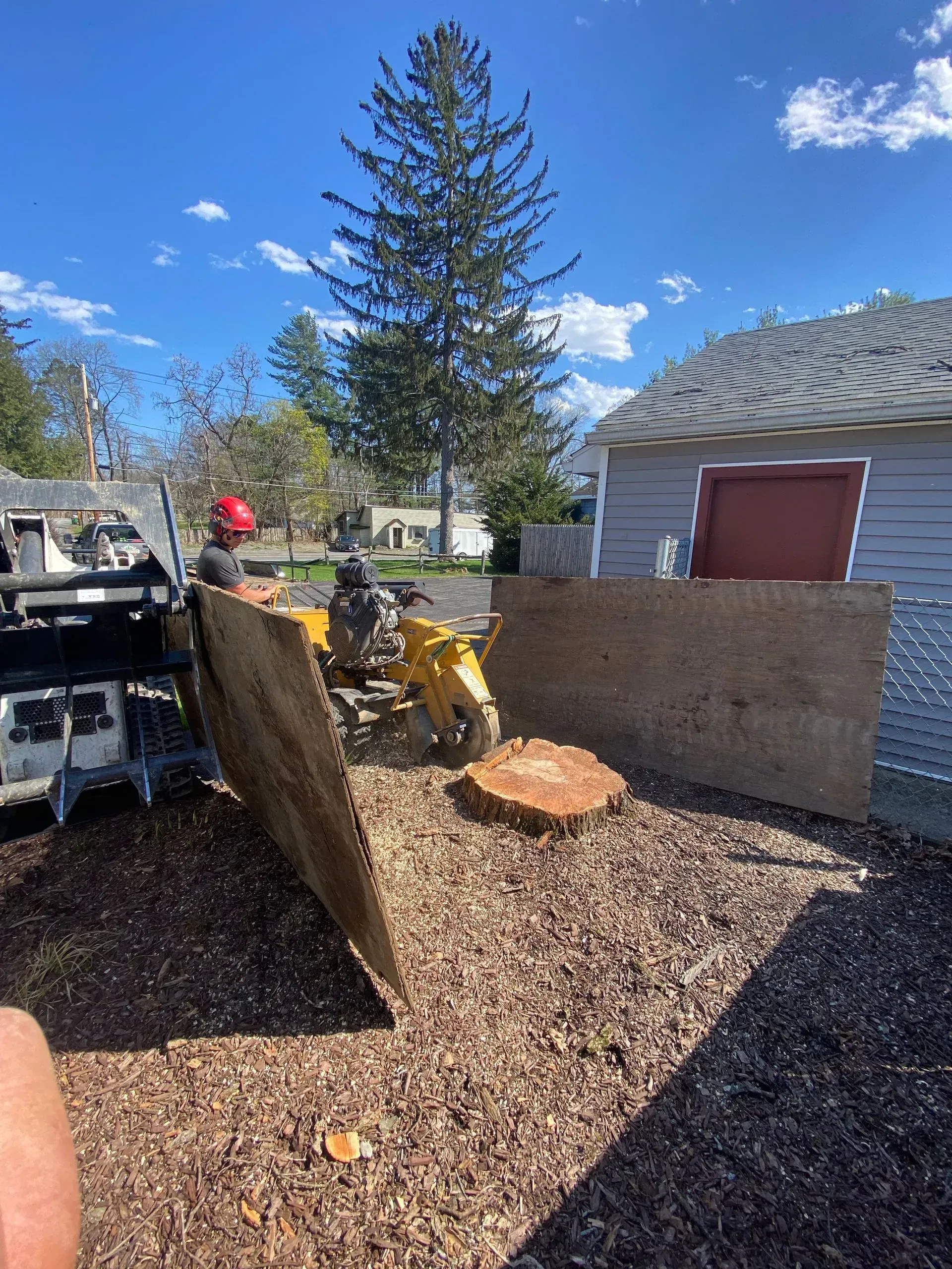 tree clearing staatsburg ny