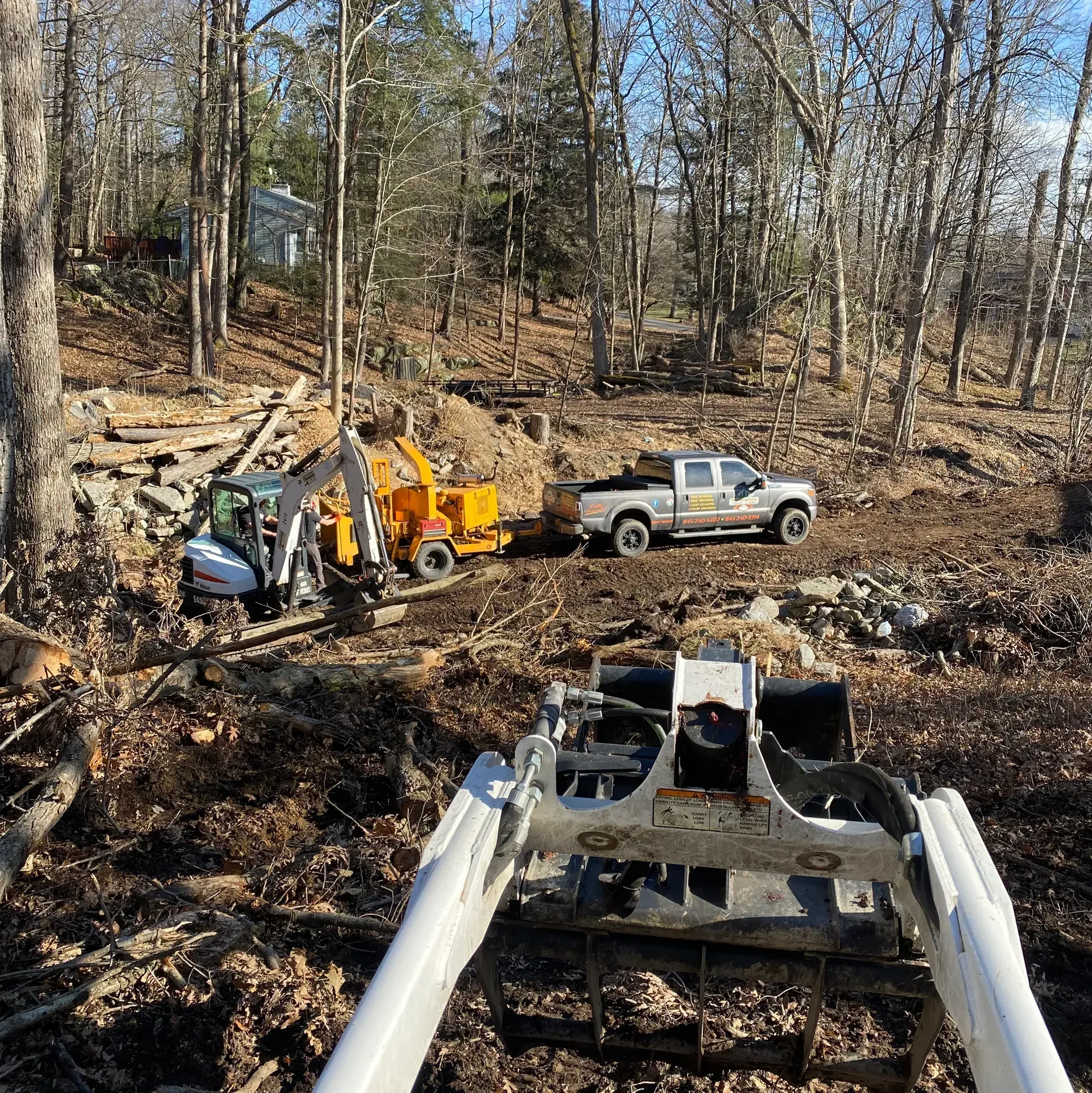 local tree removal staatsburg