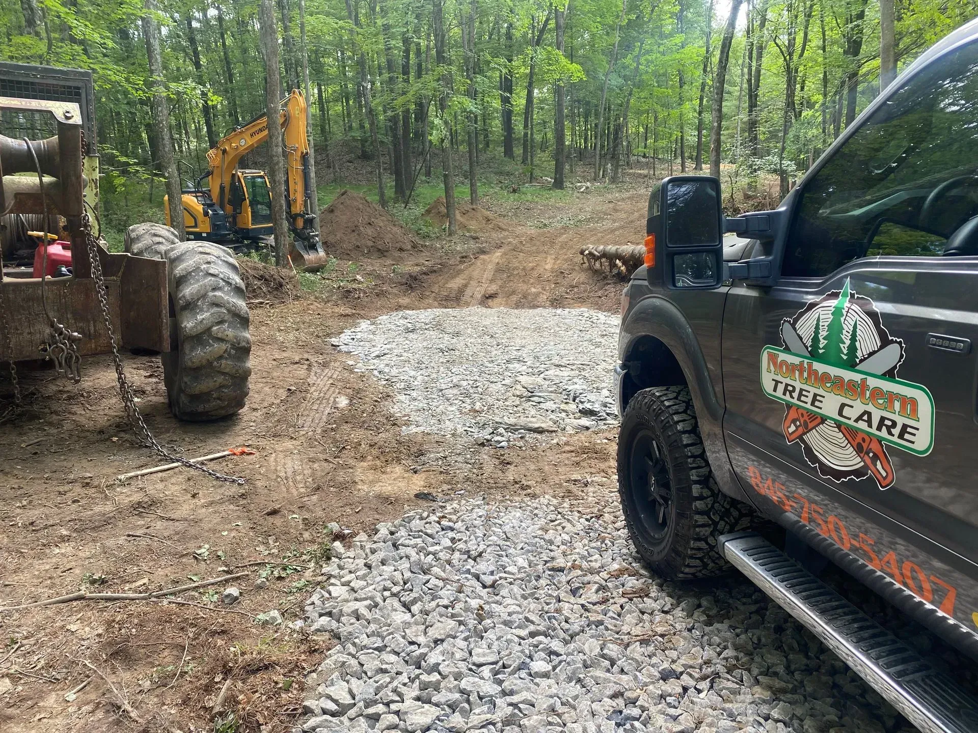 local tree removal staatsburg