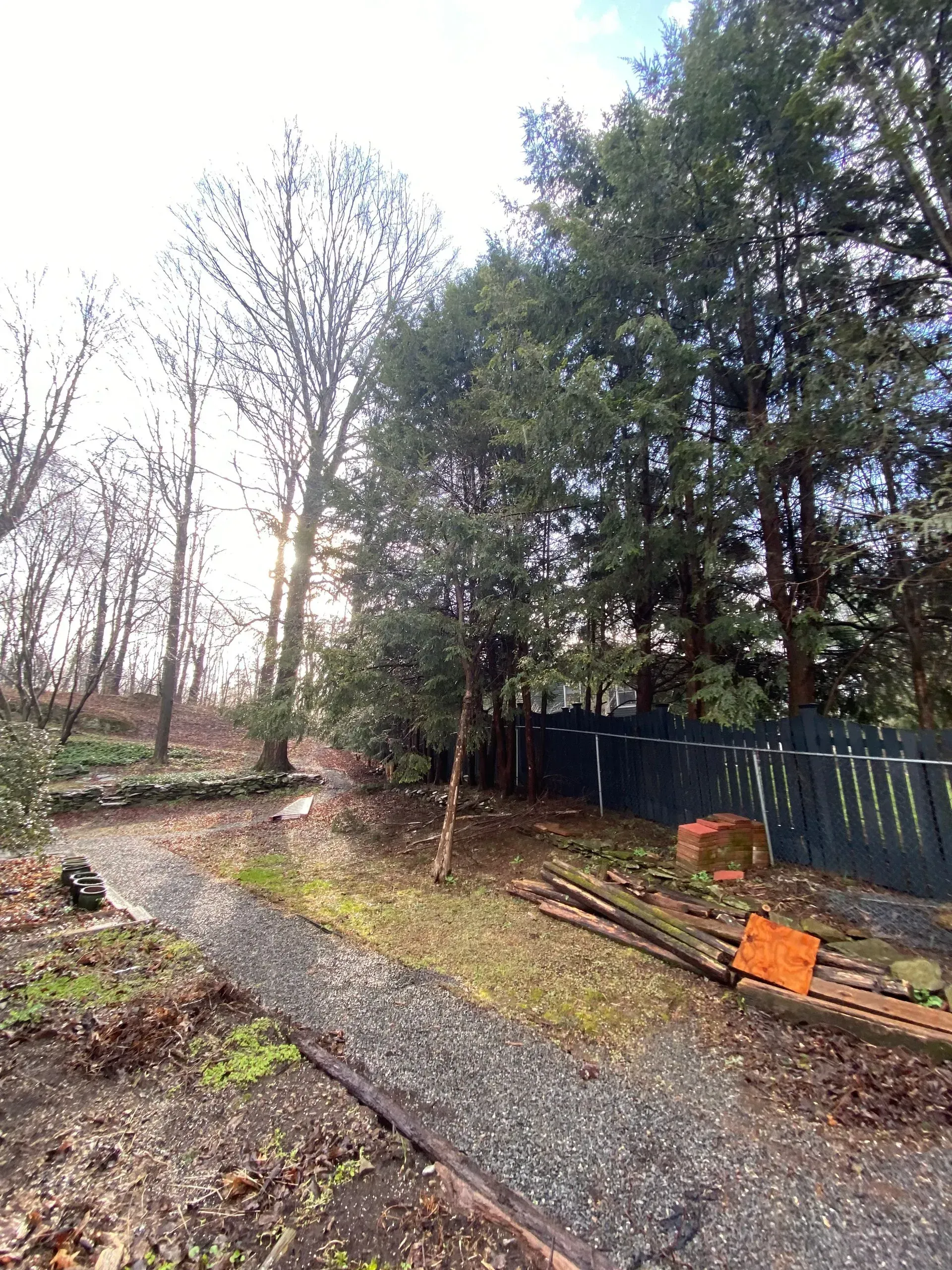 local tree removal staatsburg