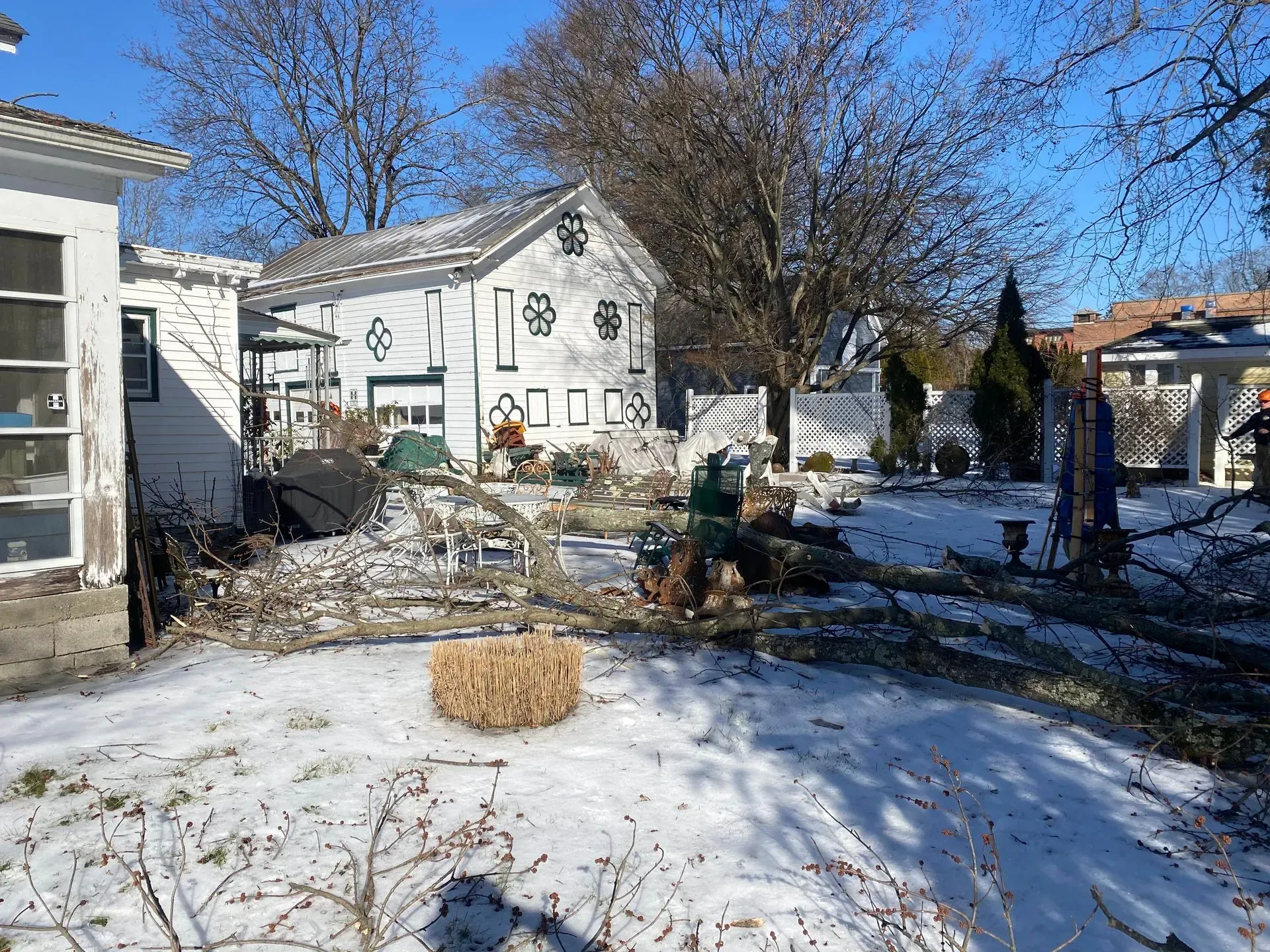 professional tree services staatsburg