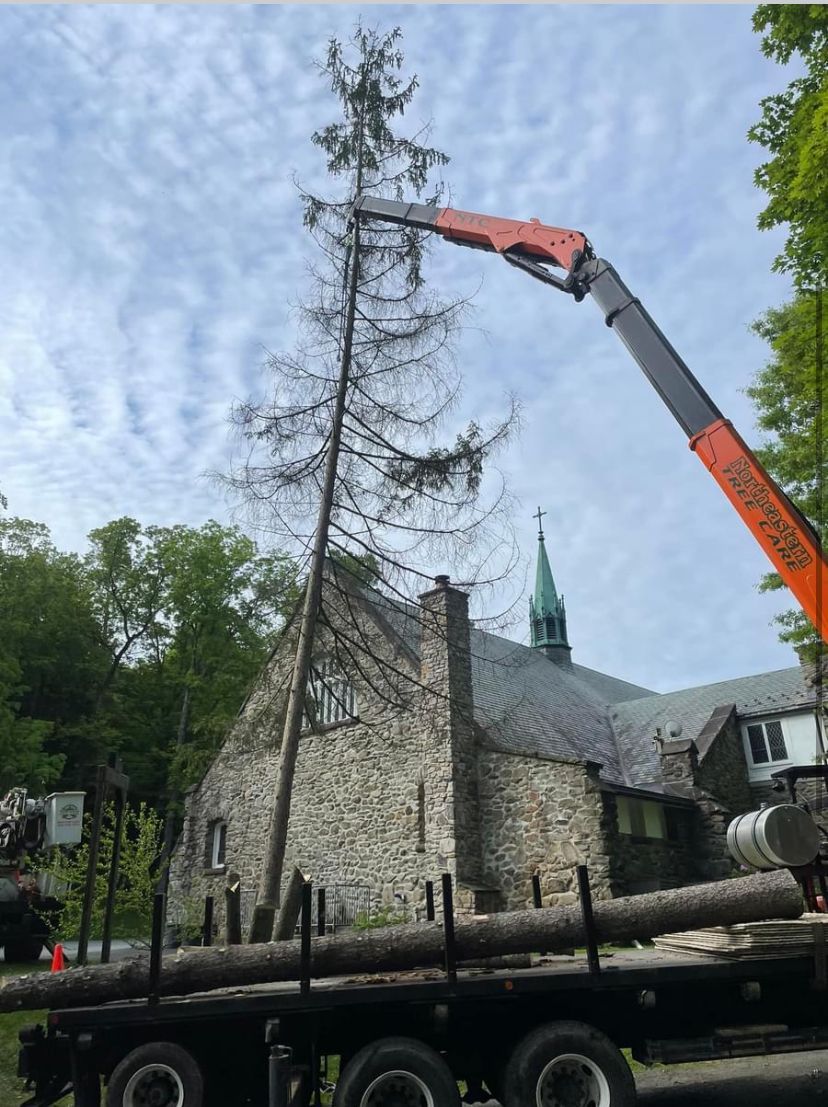 licensed tree removal staatsburg