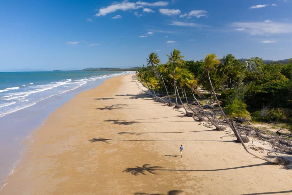 An Aerial View Of A Beach With Palm Trees And Shadows On The Sand — Lynda Ross Marriage Celebrant In Mission Beach, QLD