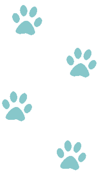 Pattes de chat Cabinet Lindén