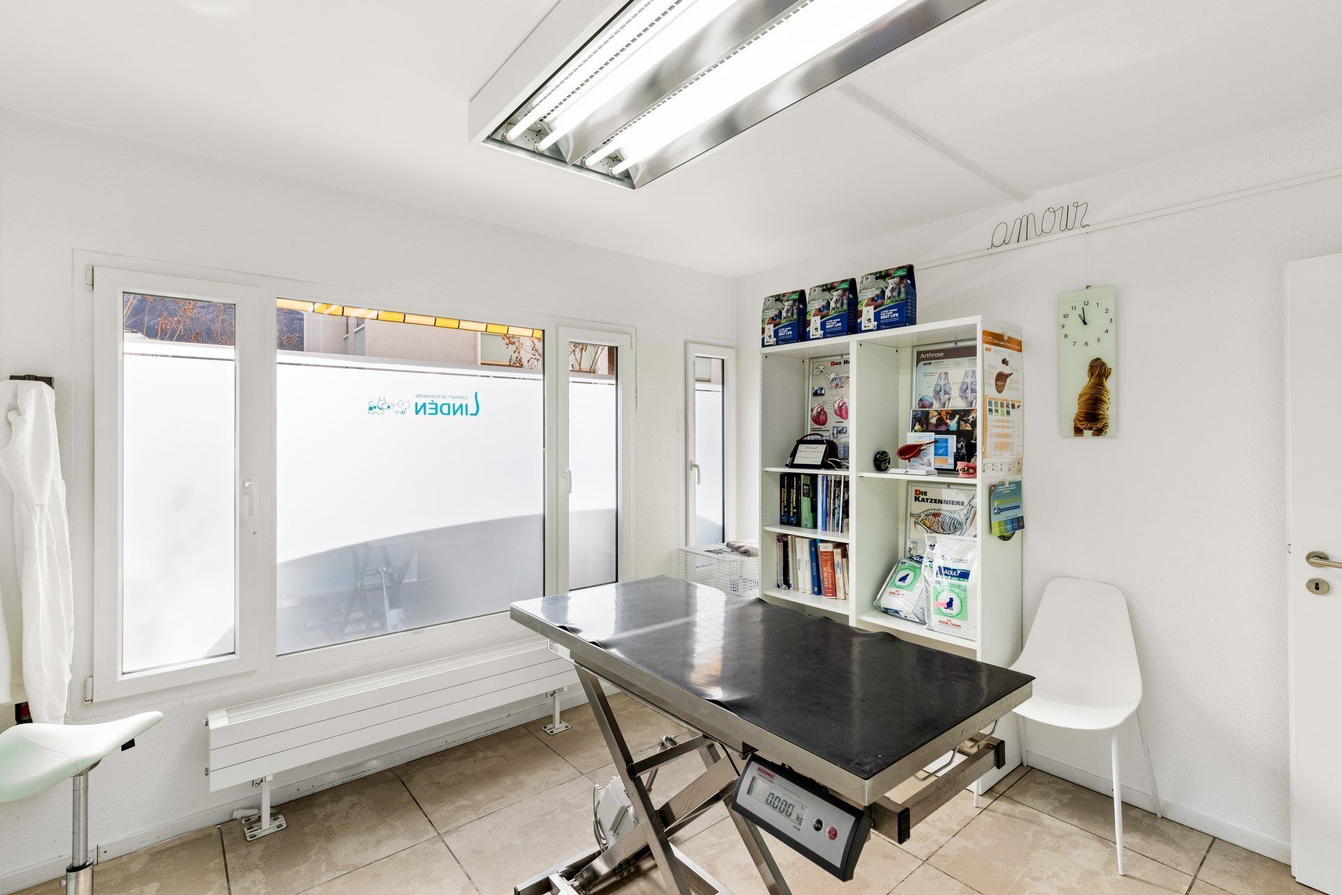 Linden Sion soins vétérinaires