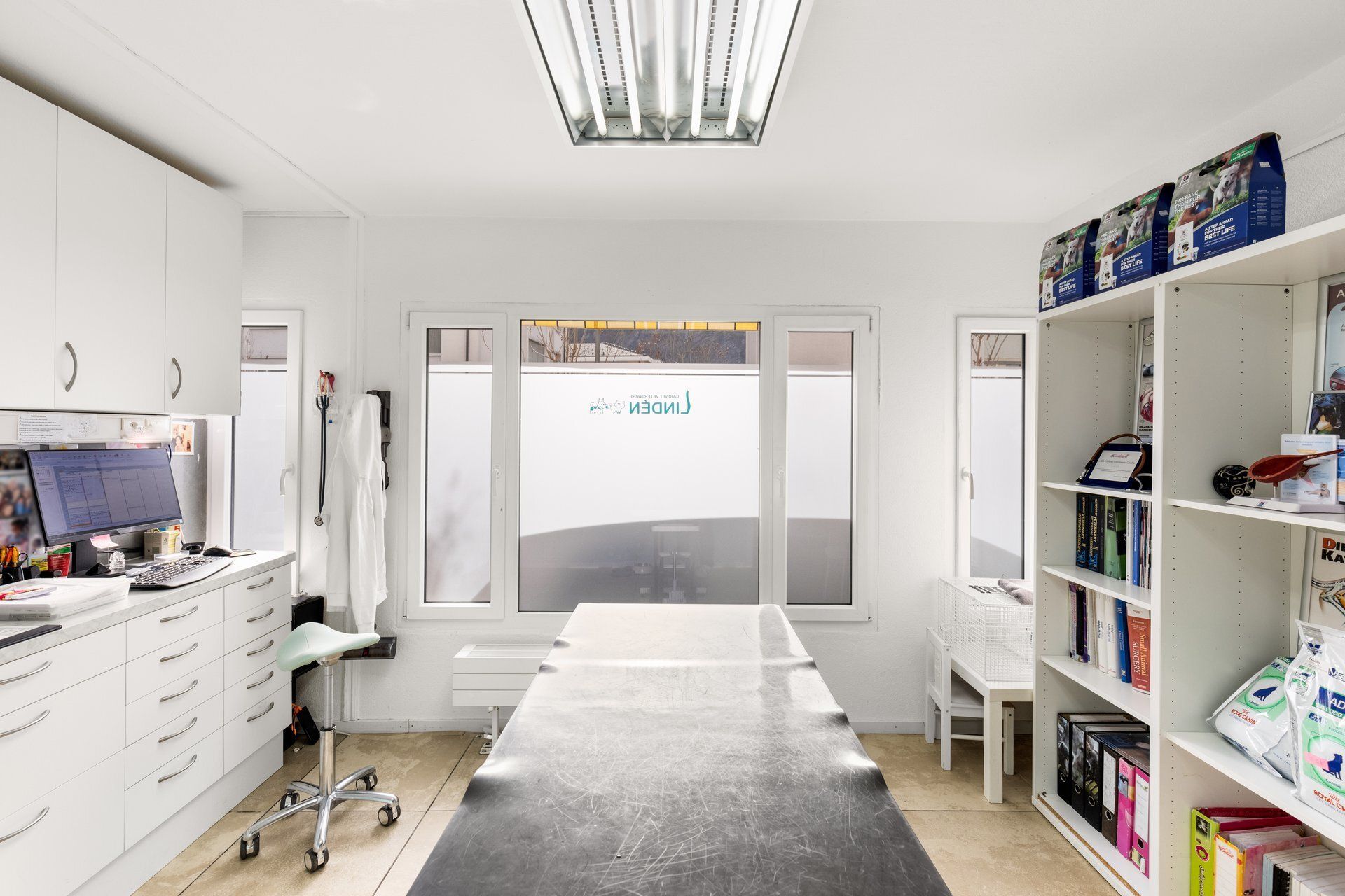 Vétérinaire Linden Sion soins vétérinaires