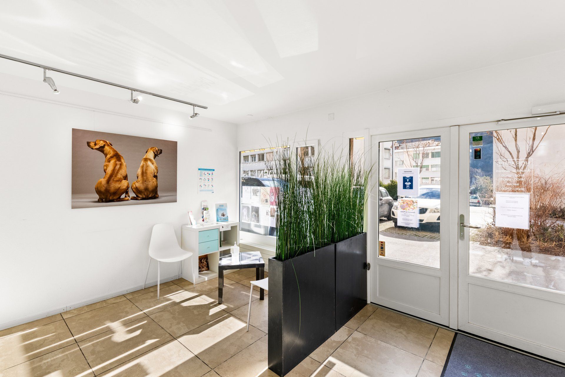 Vétérinaire consultation Sion