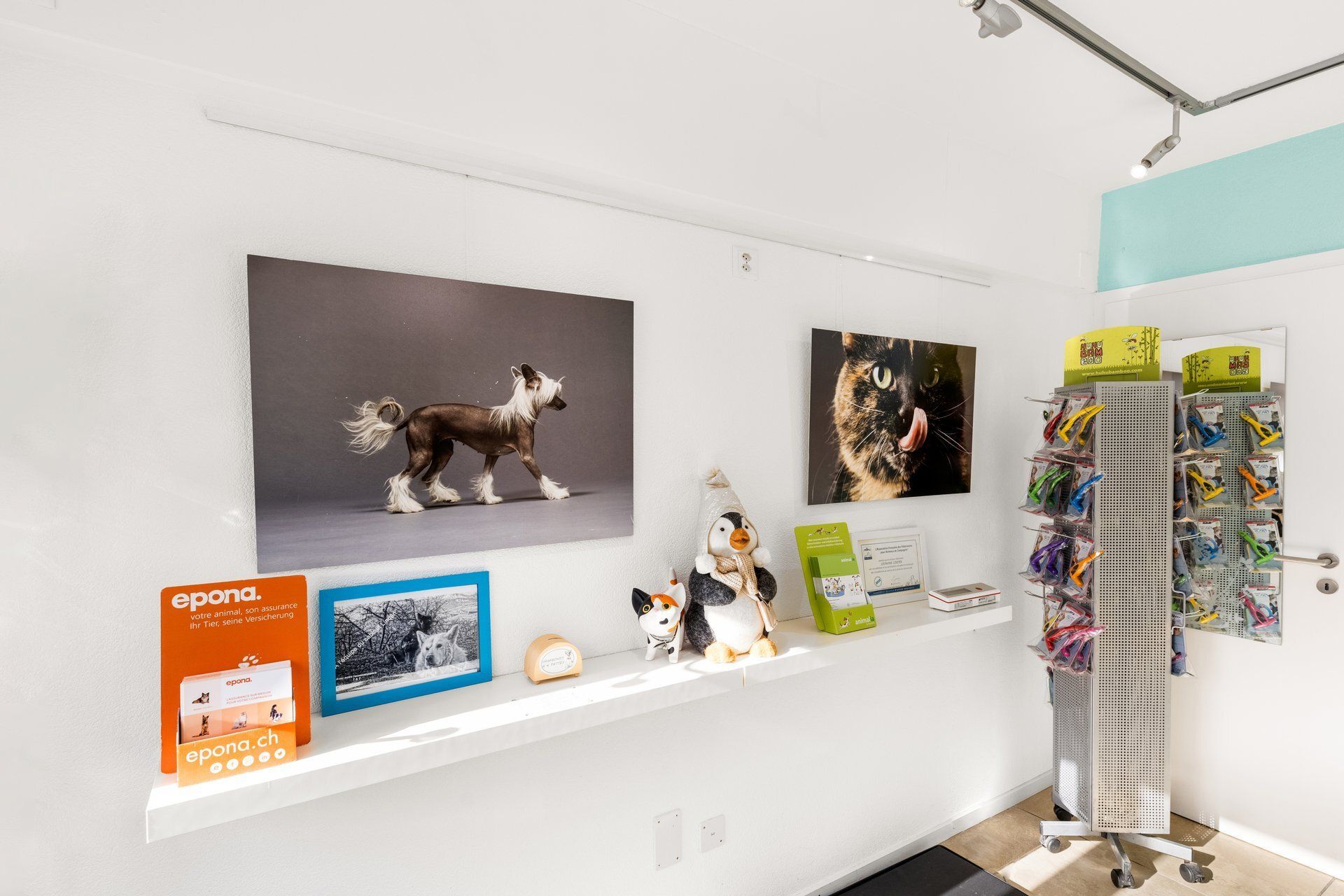 vétérinaire Linden à Sion