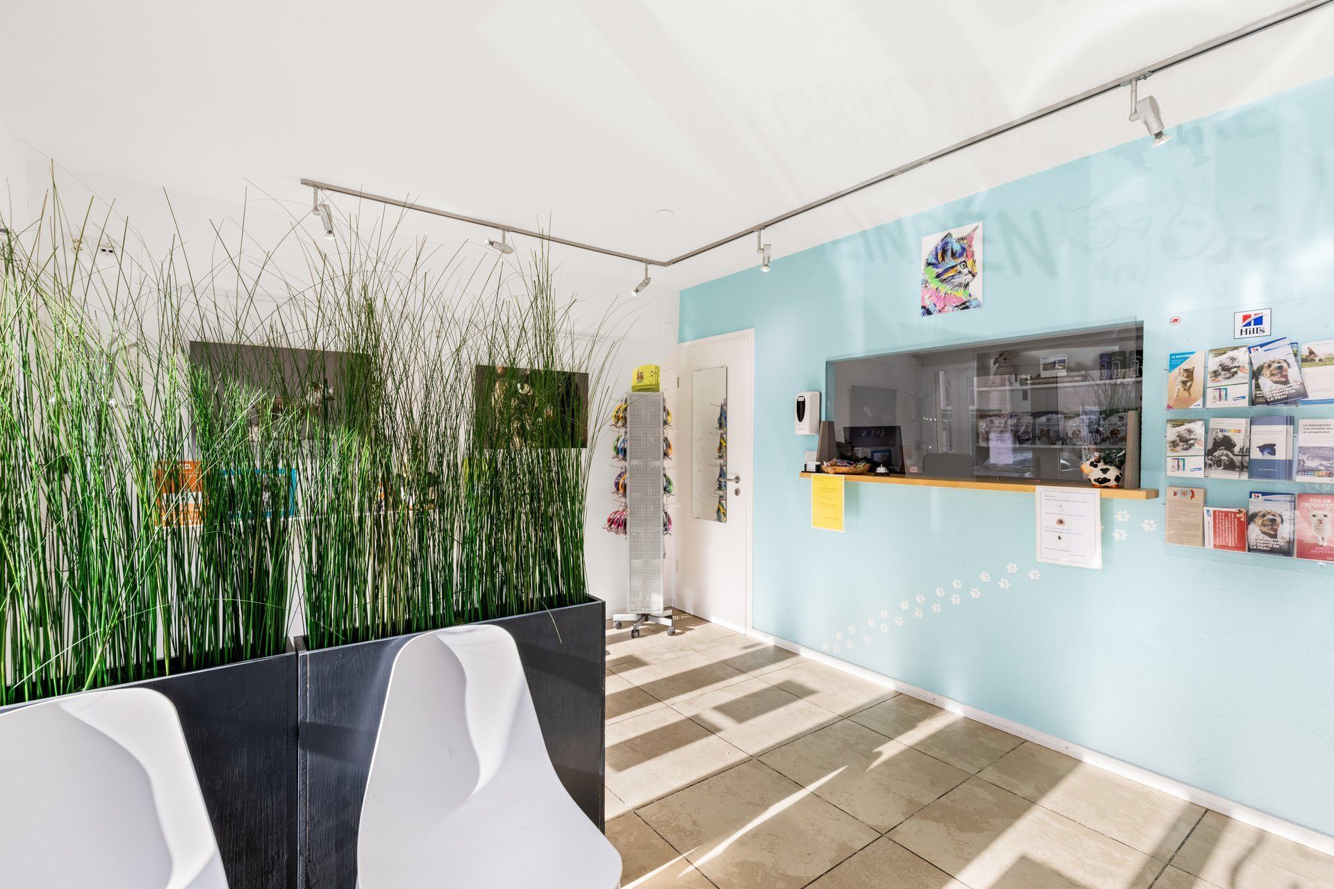 Cabinet Vétérinaire consultation Sion