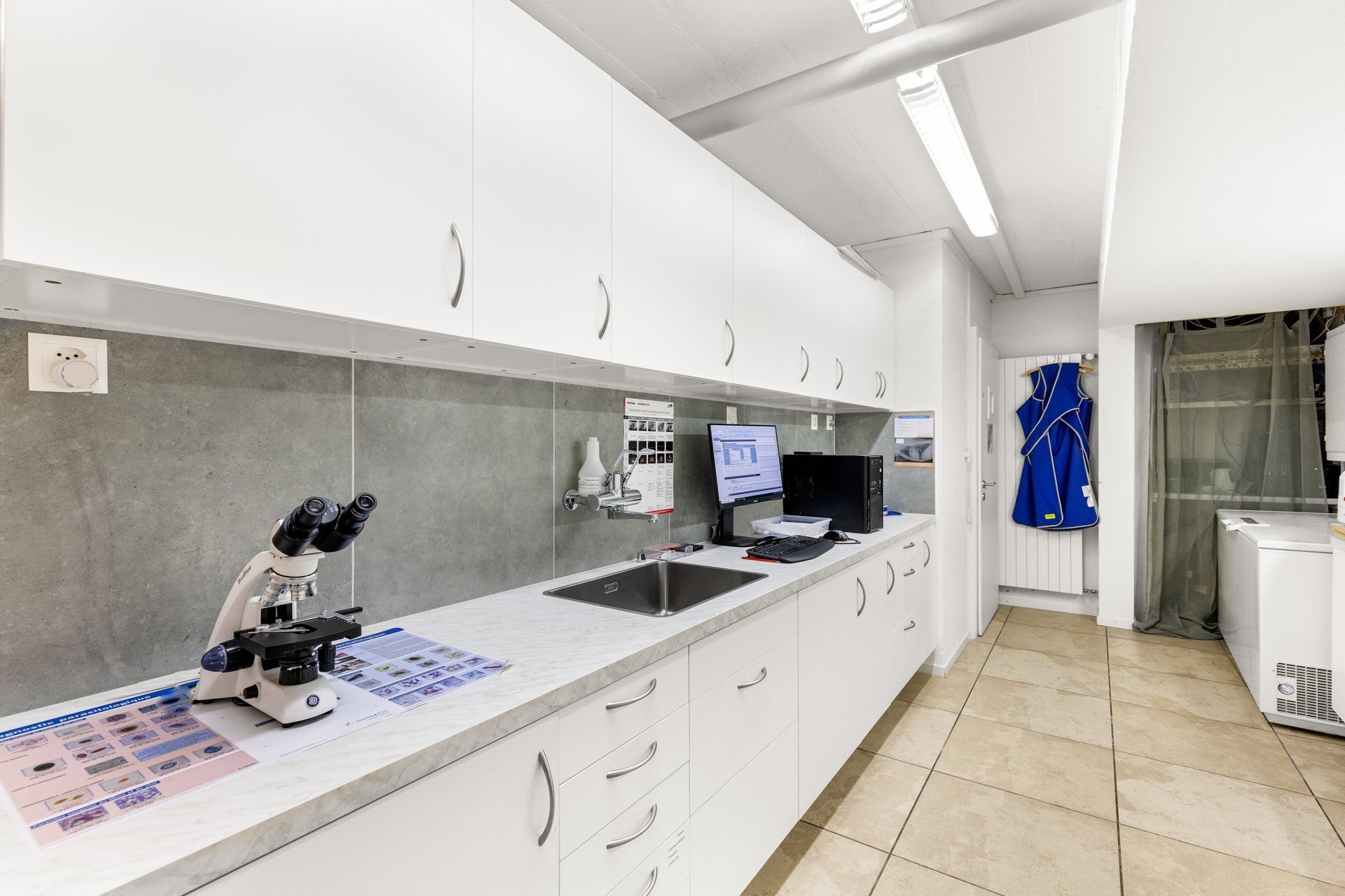 Cabinet Vétérinaire Linden - Analyses de sang et urines