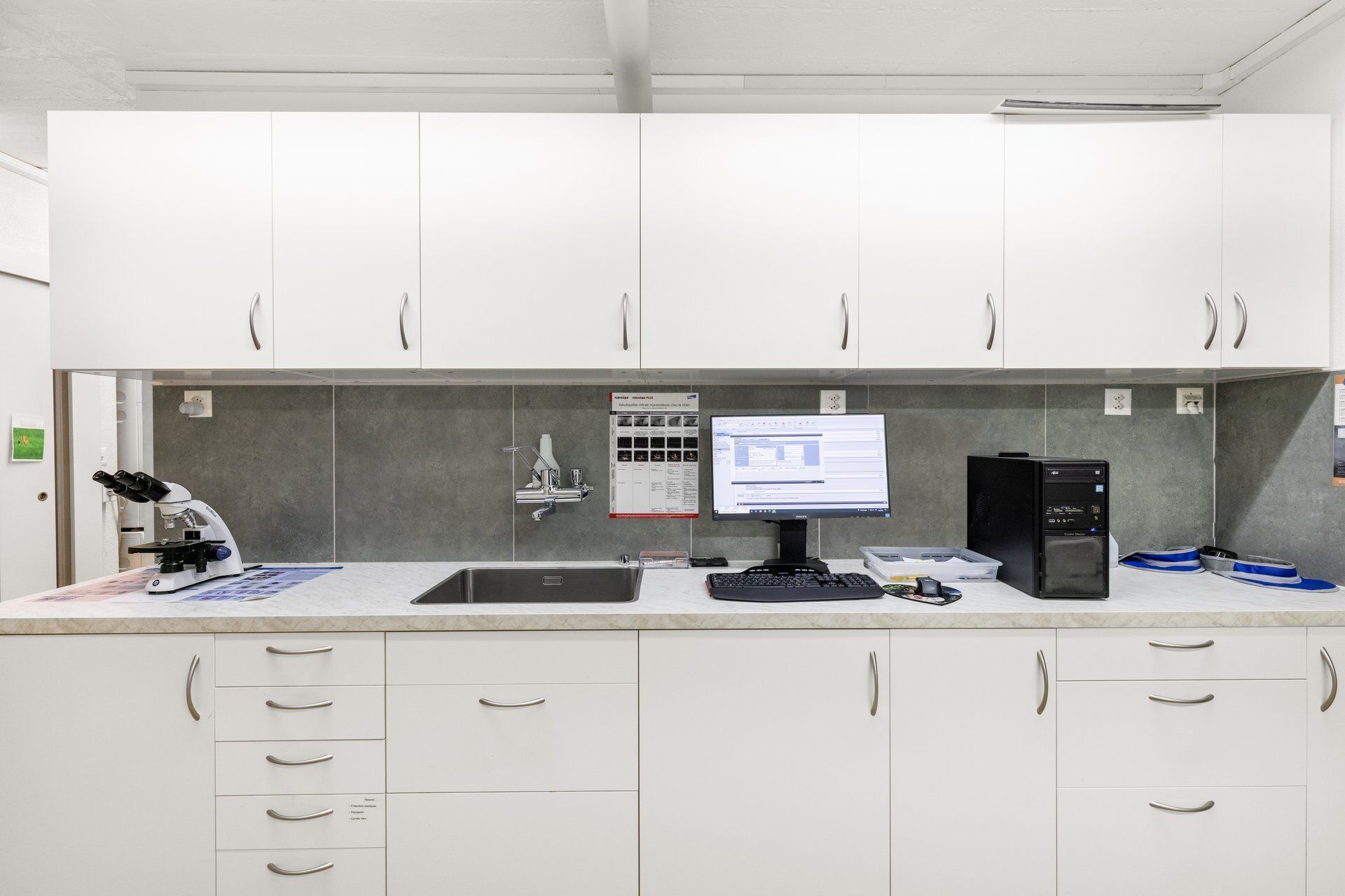 Vétérinaire Sion médecine générale