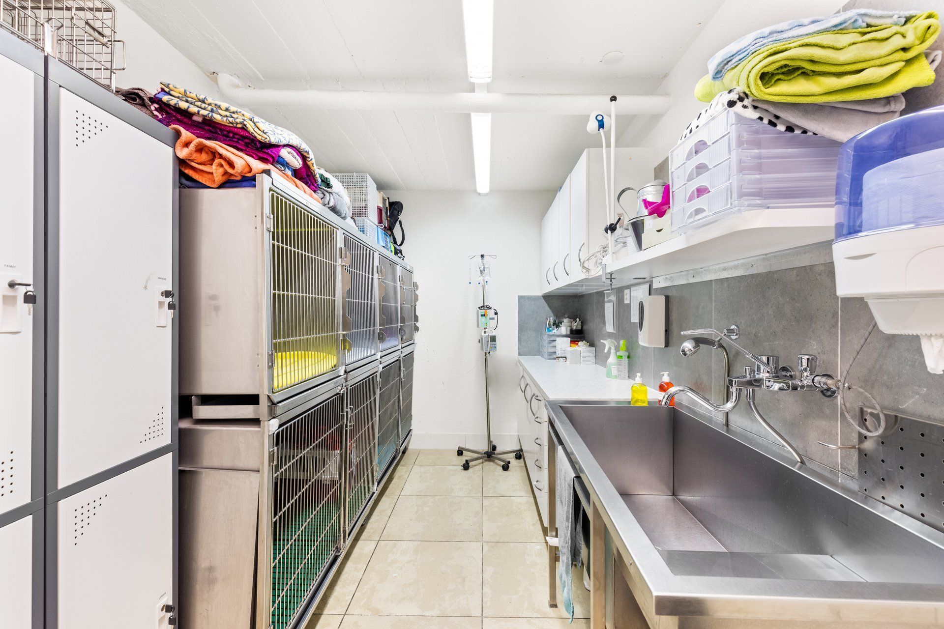 Léonore Lindén Vétérinaire Sion Cabinet