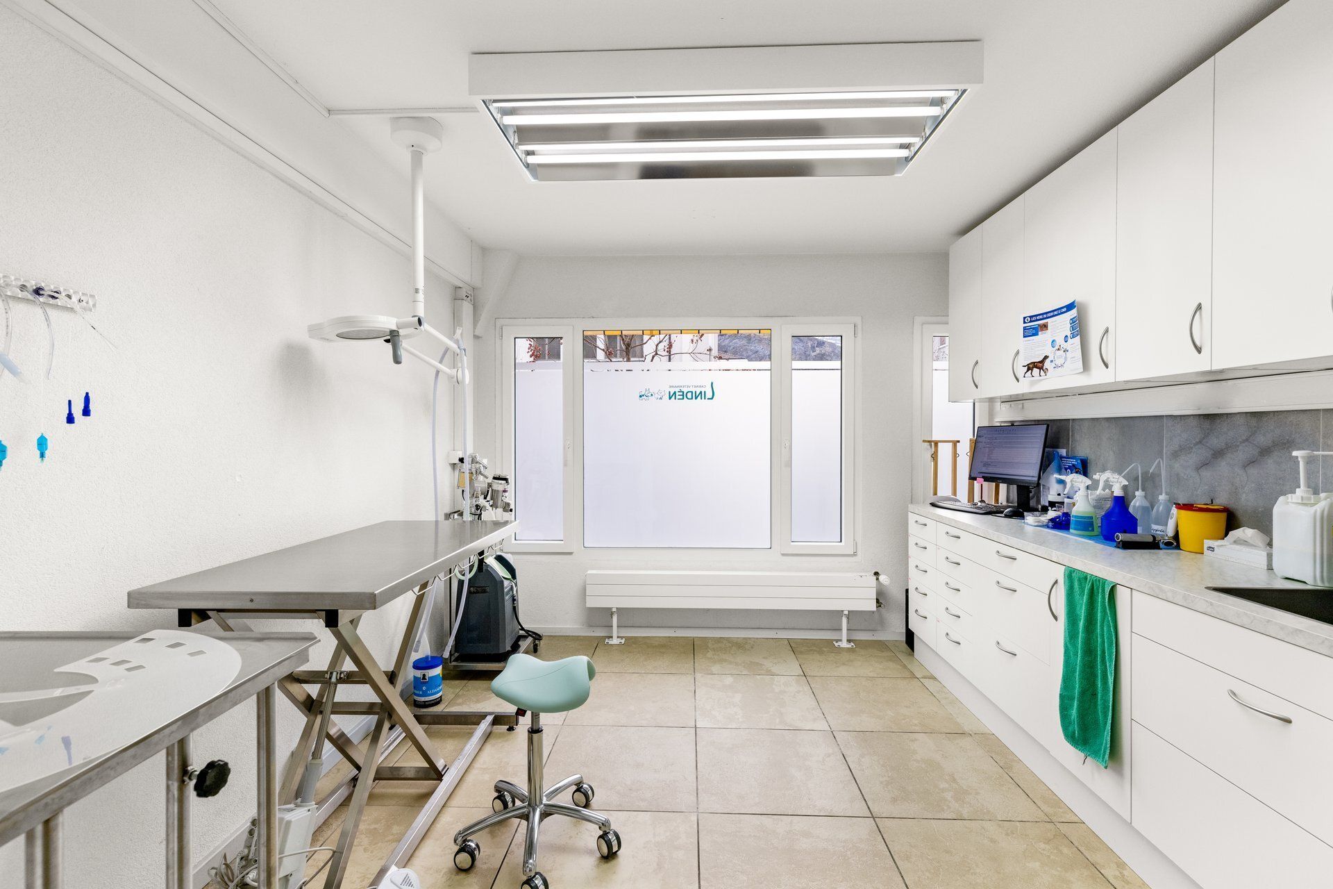 Vétérinaire Sion urgences