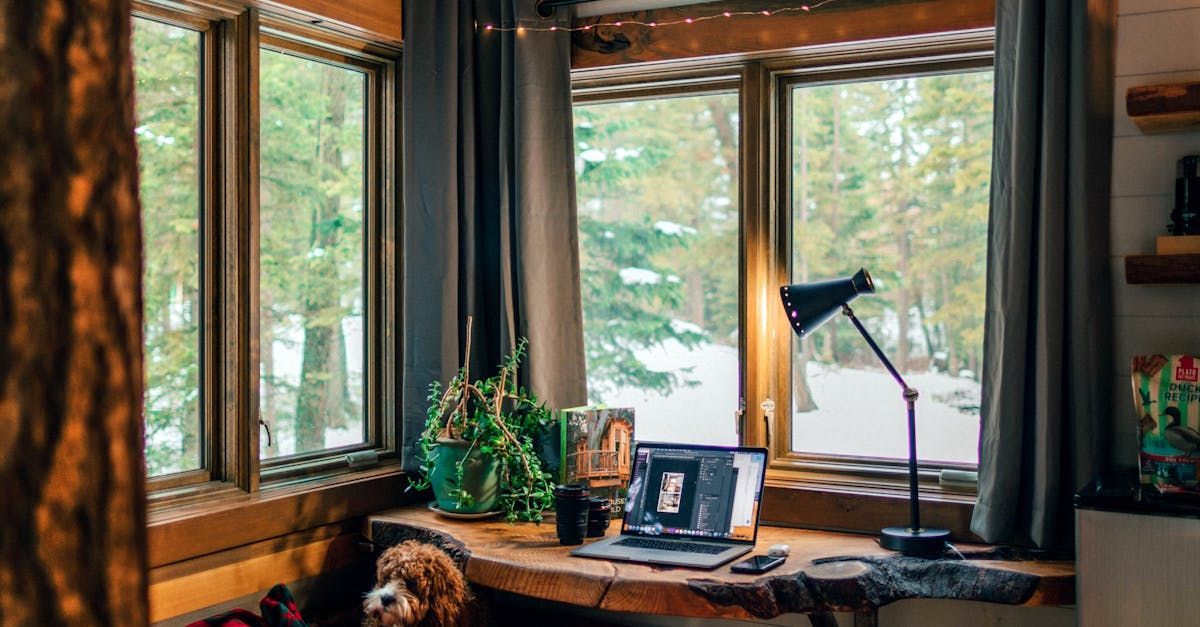 A dog is laying on a desk in front of a laptop computer.