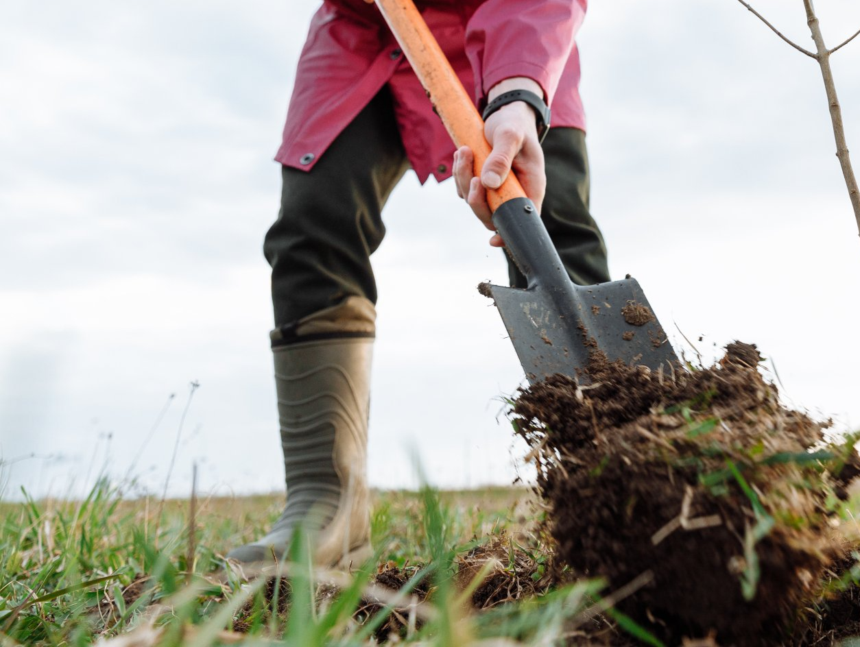 Contact - Ten Mile Maples, Ohio