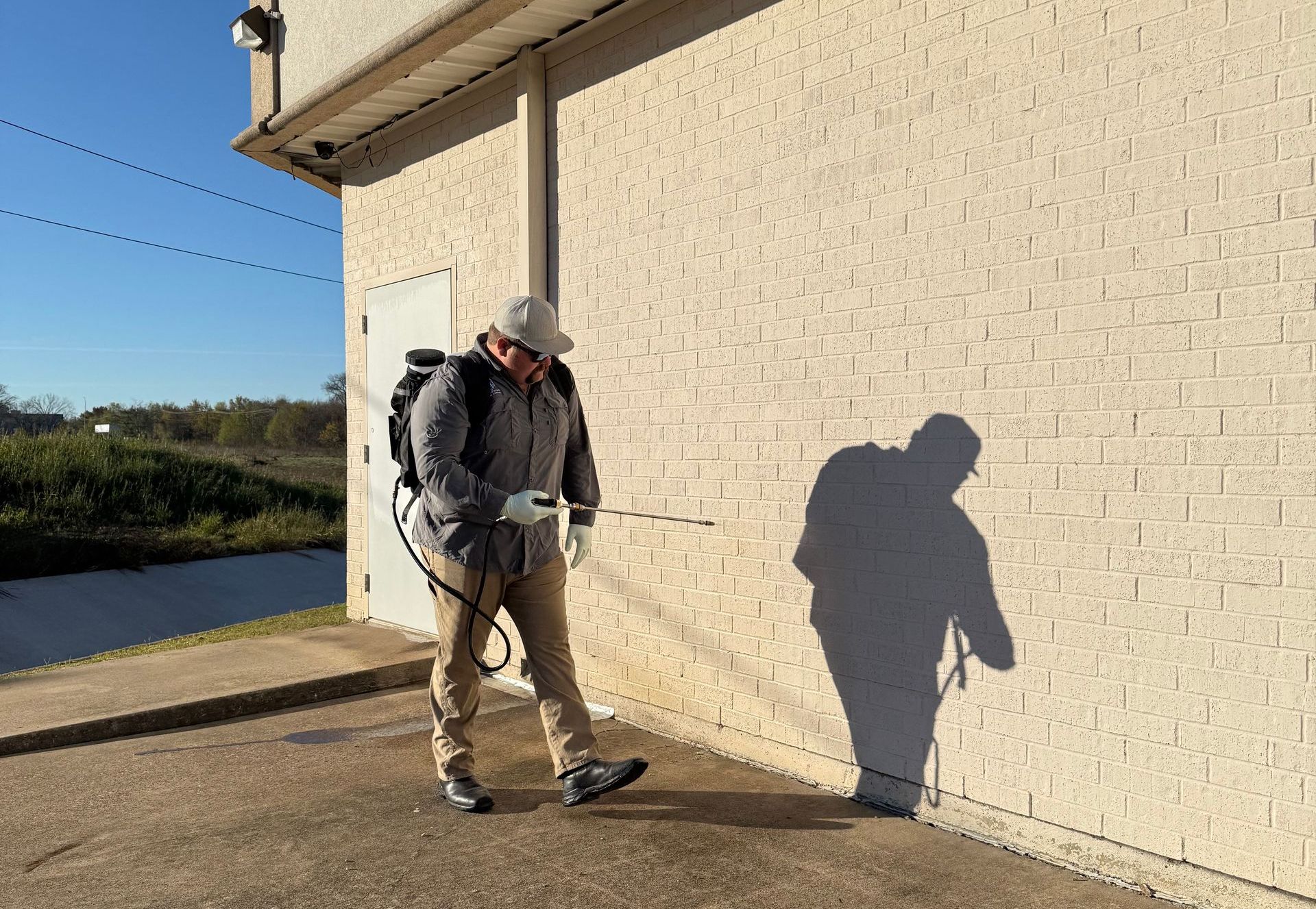 sapphire pest control outdoor spraying
