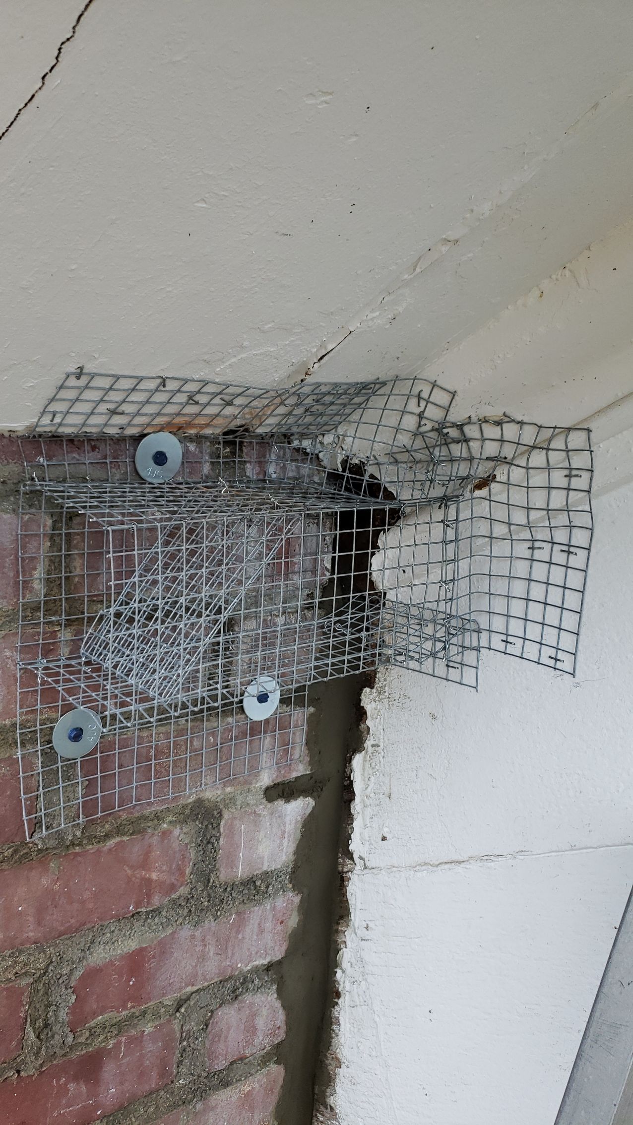A close up of a brick wall with a metal mesh on it.