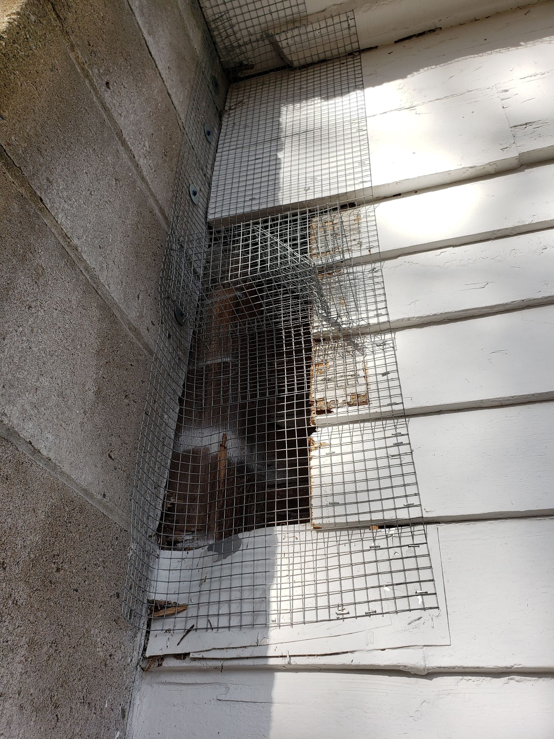 A close up of a white siding on a house with a hole in it.